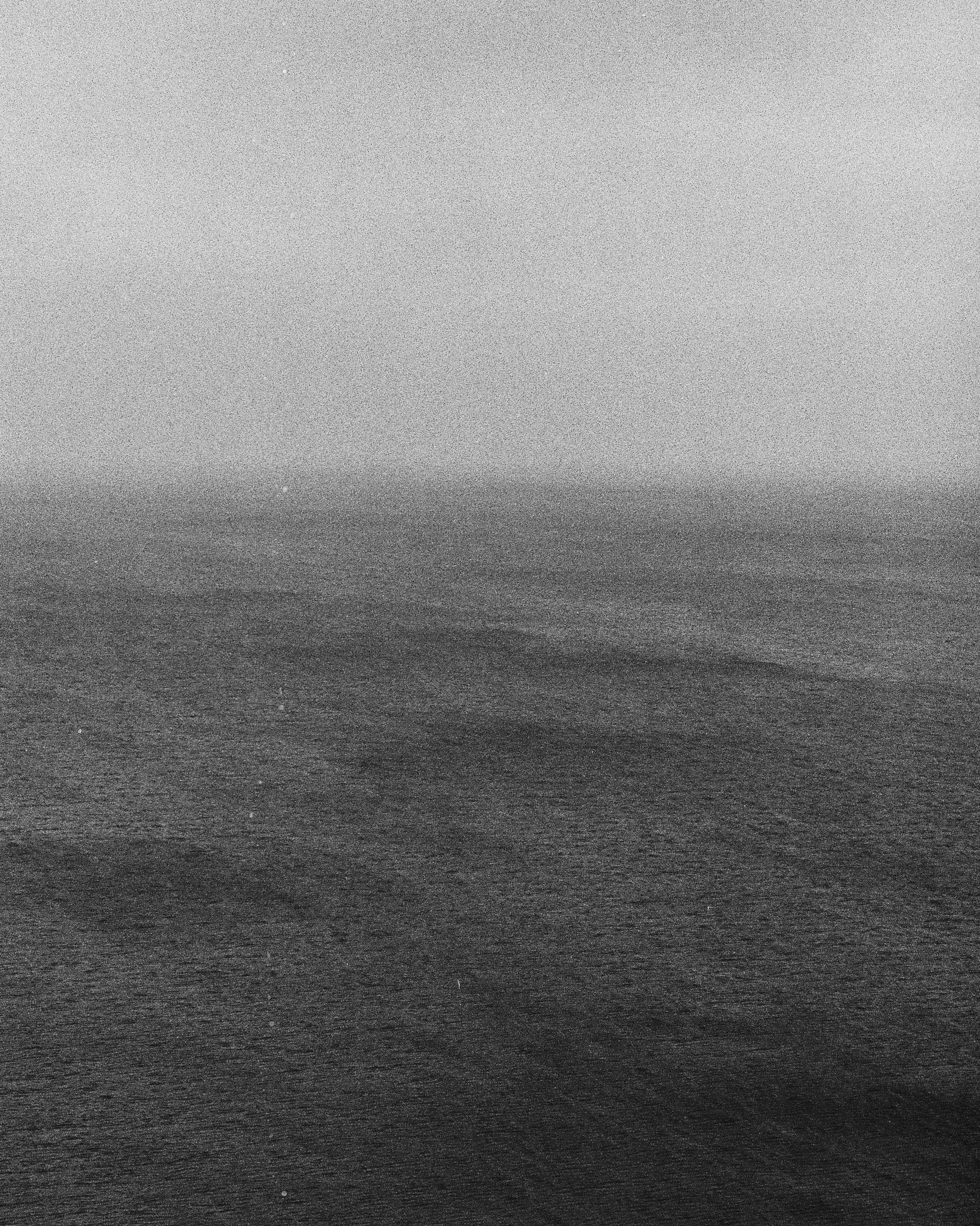 Стоимость. Whoisanyaa • фотограф Москва//Спб