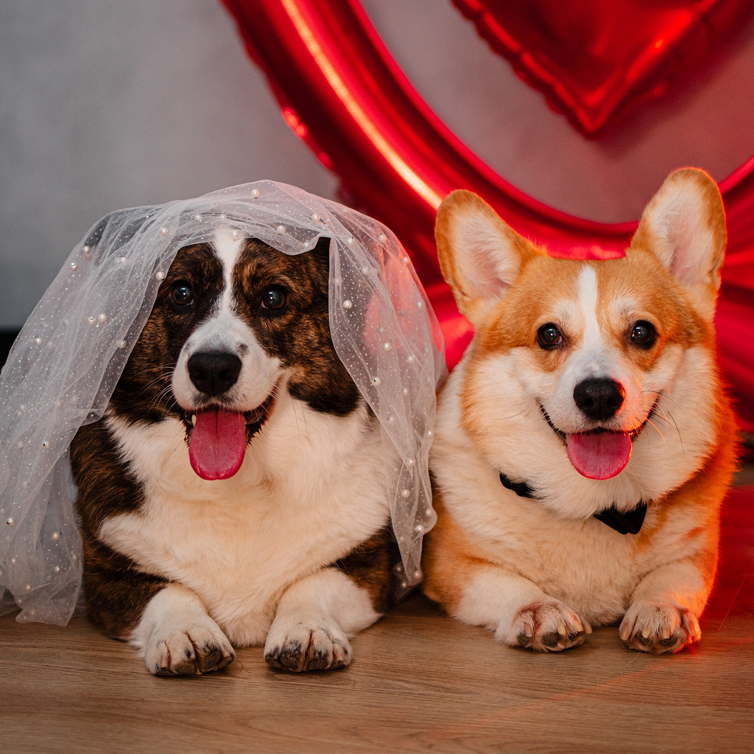 Услуги. Уютный фотограф в Москве Елена Бенчи