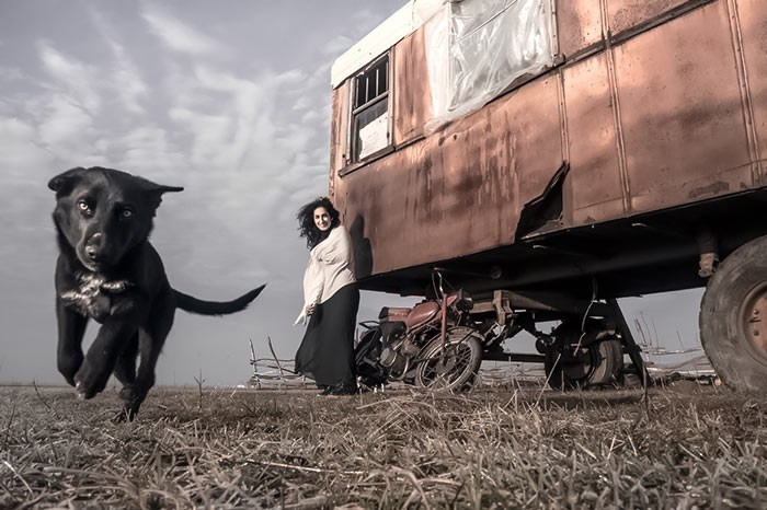 Купить фотографии для интерьера гостиной 