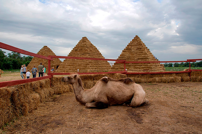 Локации и маршруты