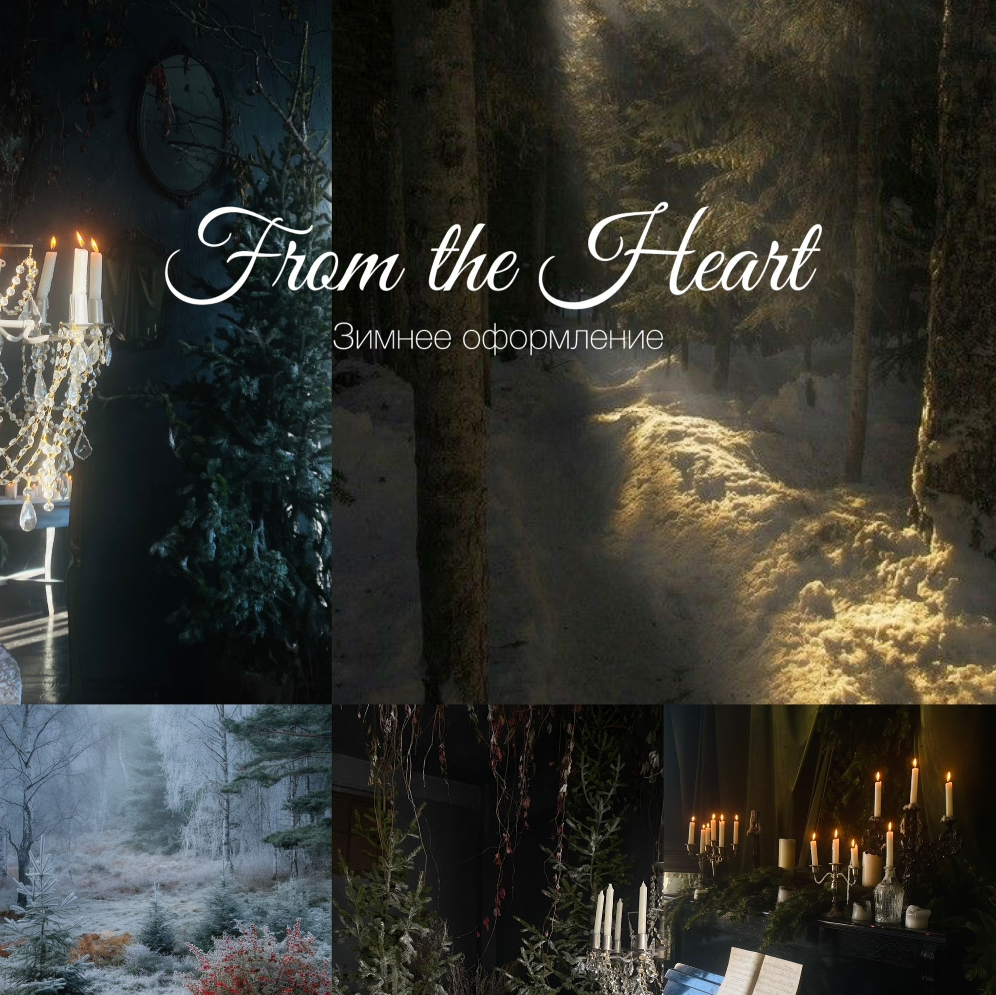 Сказочный фотограф фотопроекты фототуры в Новосибирске и на Алтае