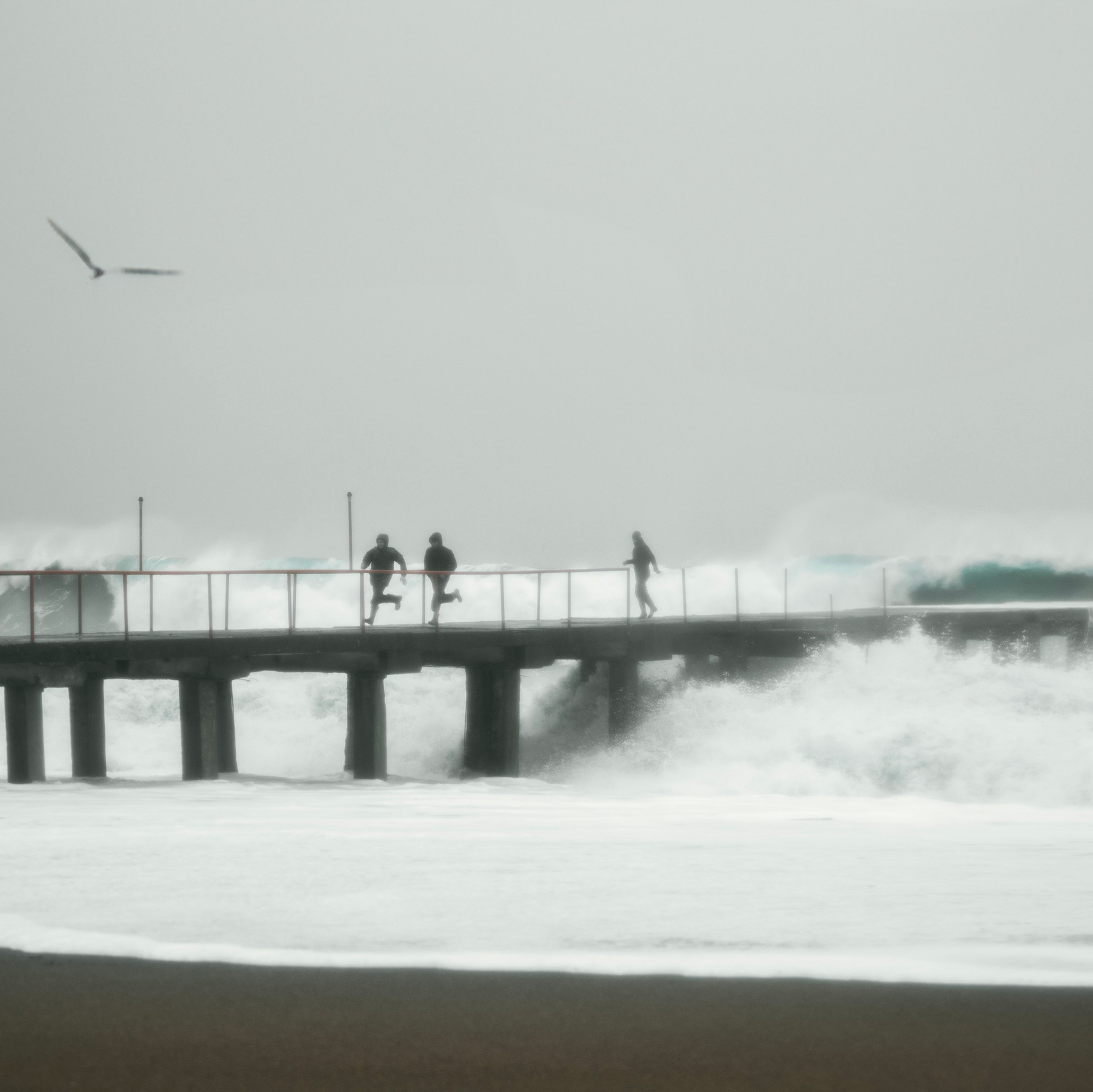 Контакты. Главная