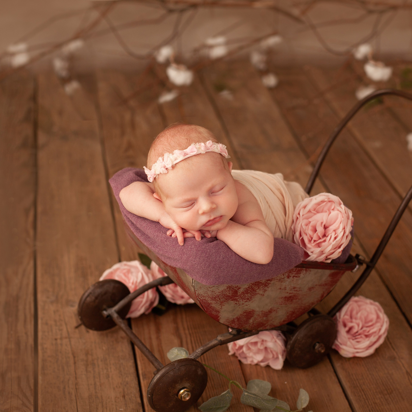 Обучение. Семейная и детская фотостудия «Колыбель»