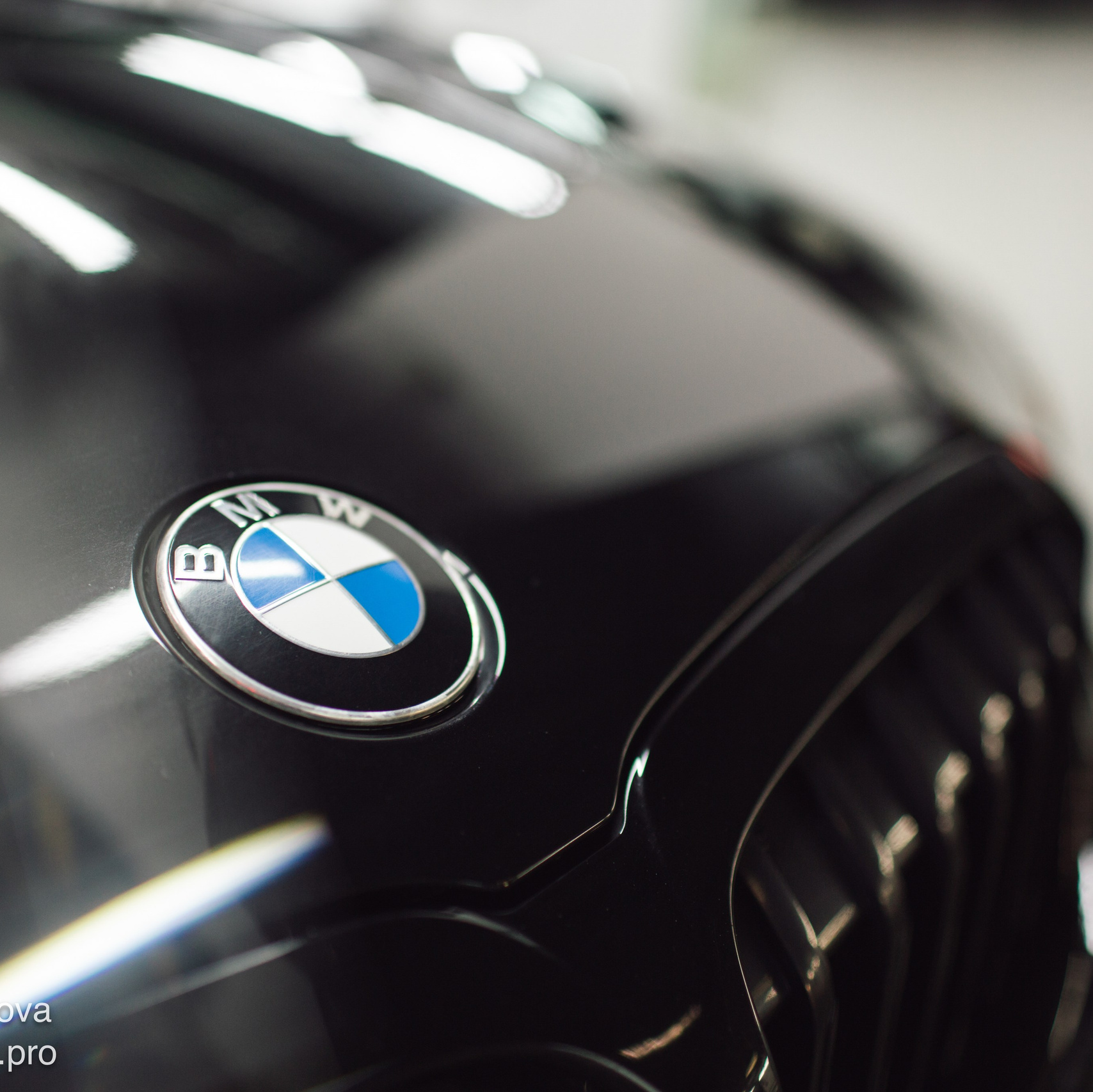 Услуги. Фотограф Светлана Петрова