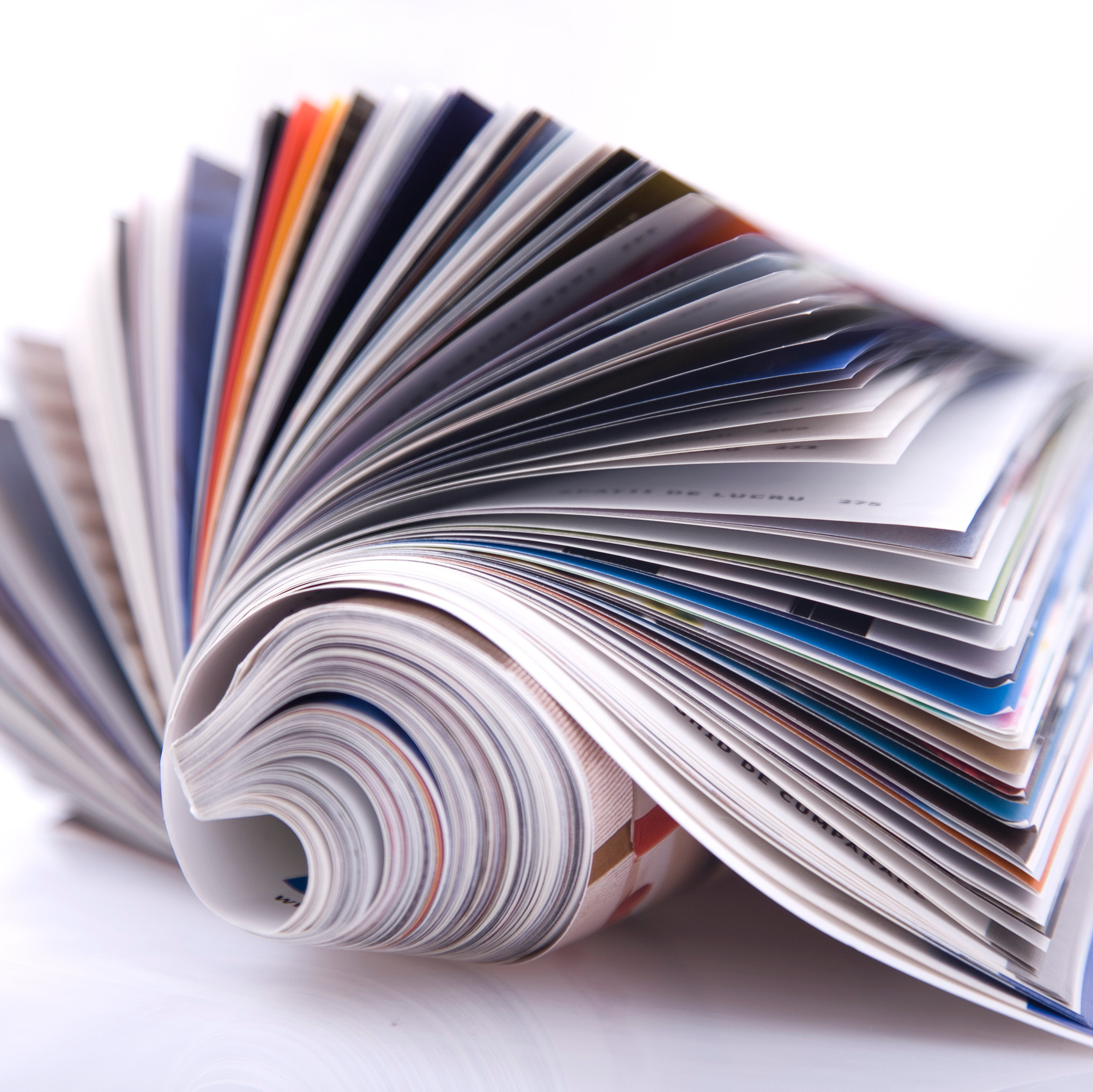 Интерьерный фотограф Варвара Чеснокова