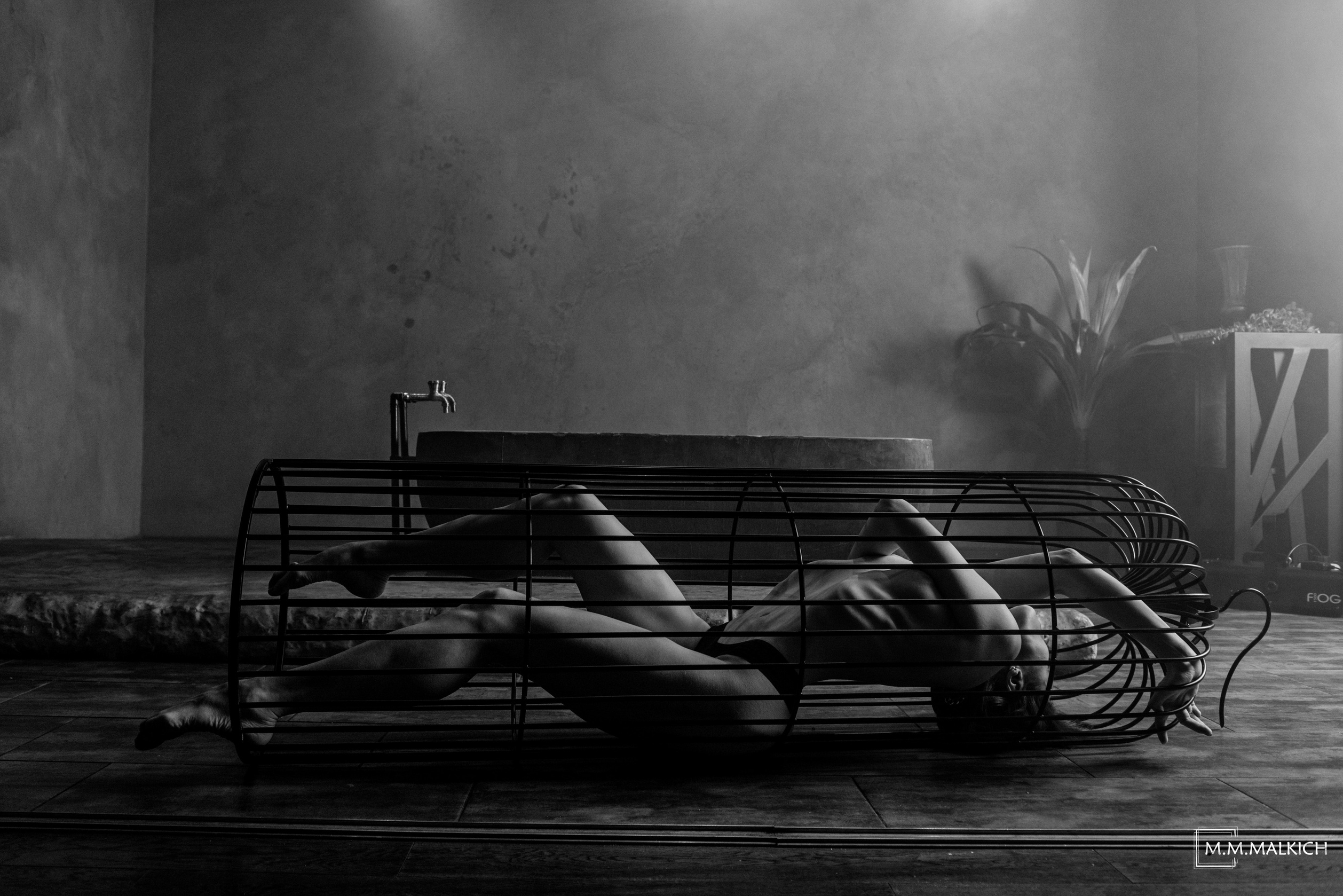 Услуги. Фотограф и видеограф в Москве Мария Малкич