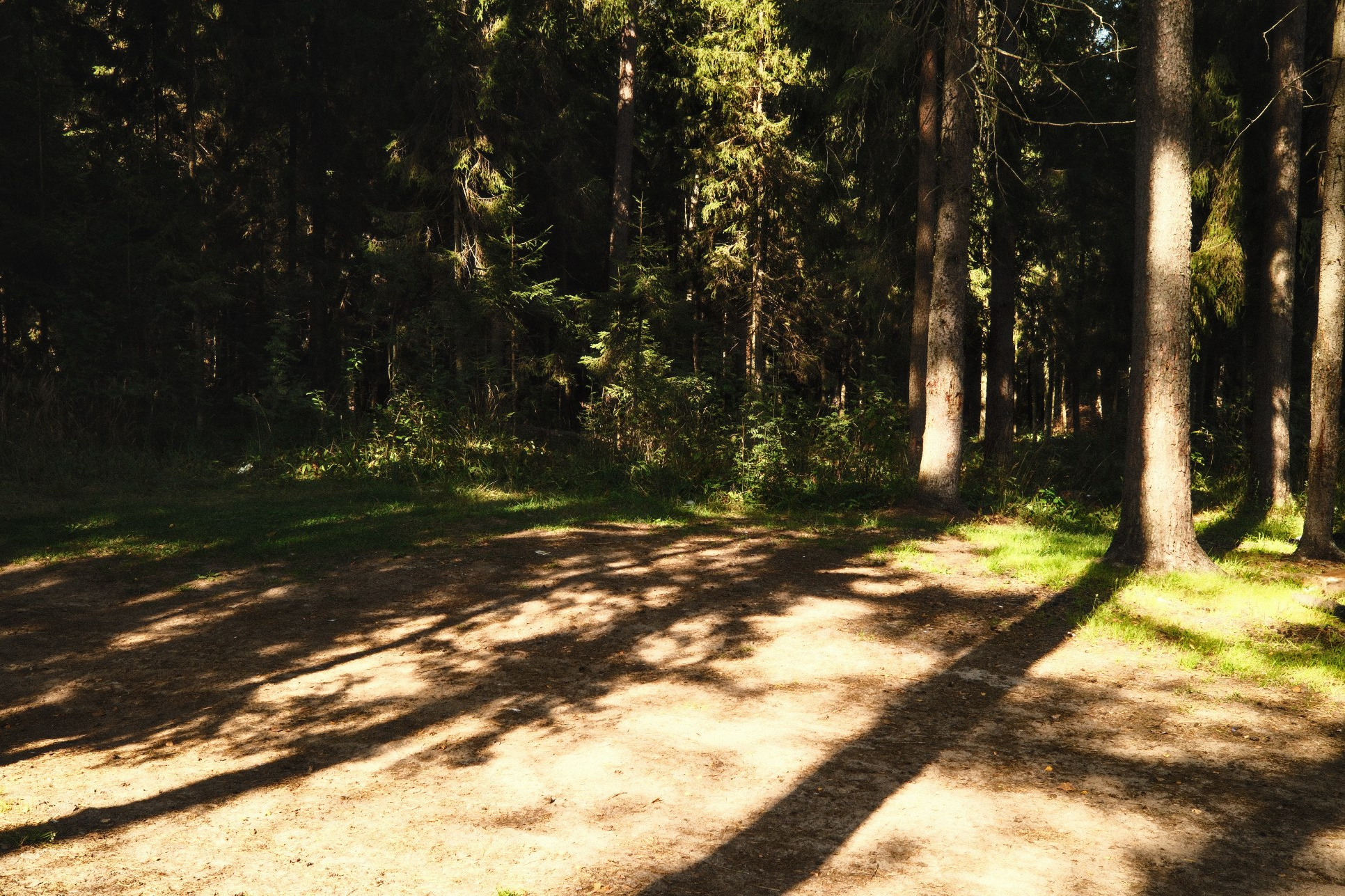 СОЛЯМИ. Belugin Art