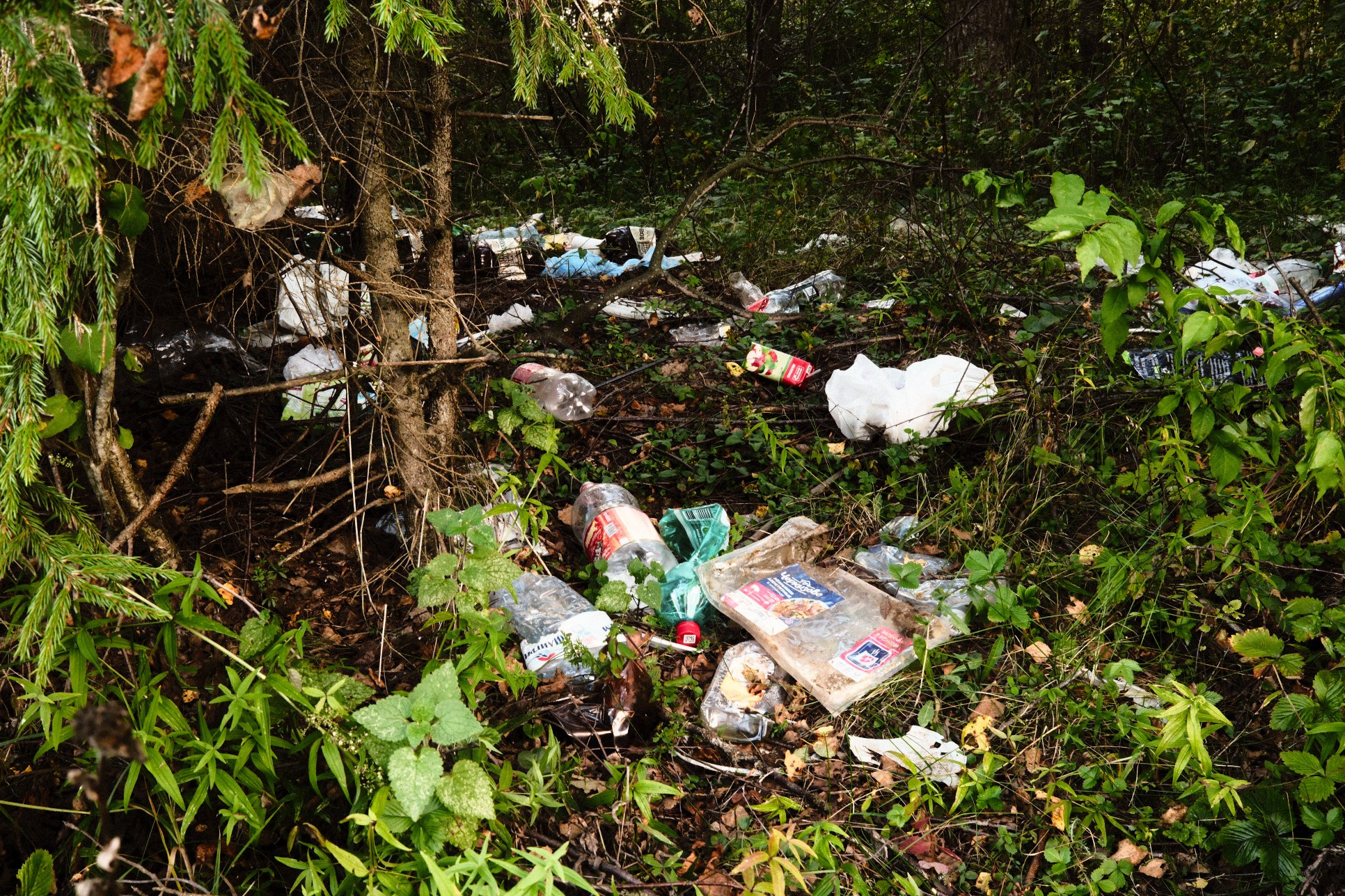 СОЛЯМИ. Belugin Art