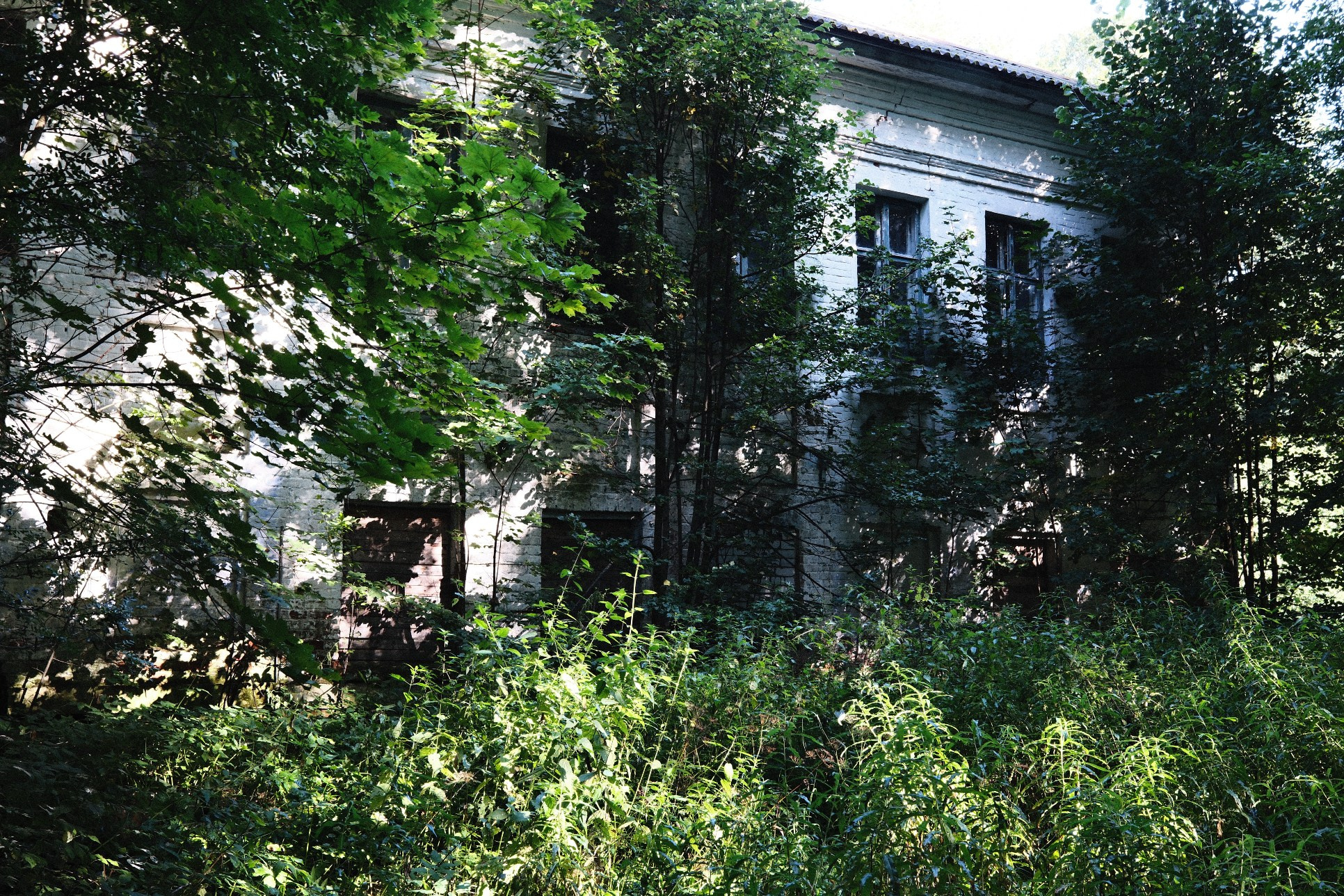 СОЛЯМИ. Belugin Art