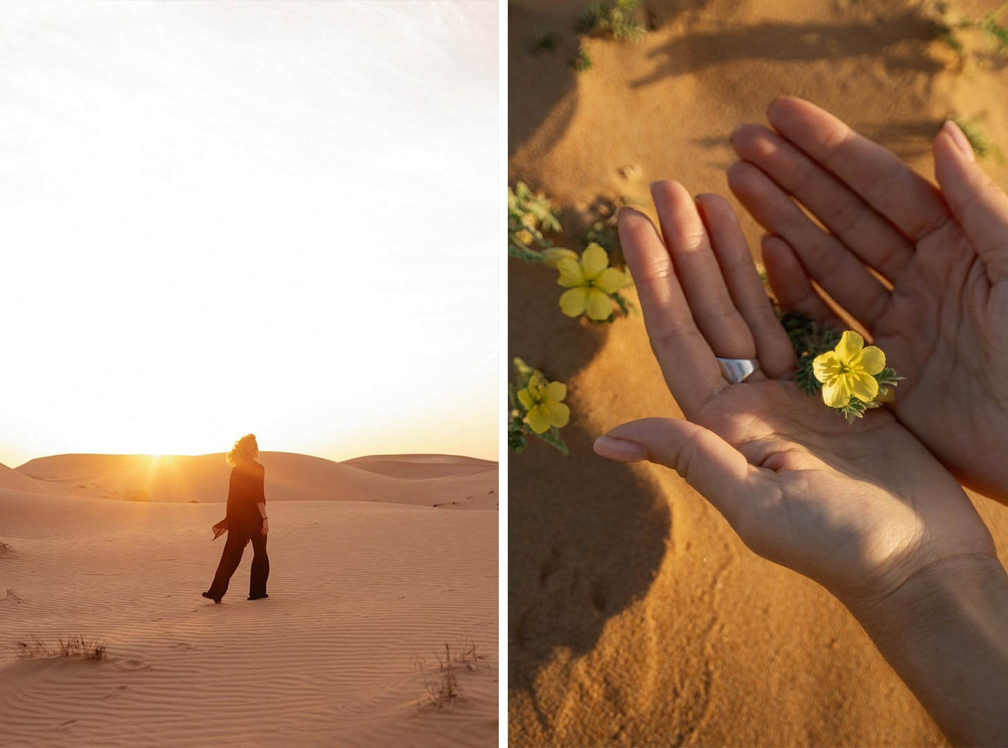 Инстаэмираты. Фотограф ОАЭ