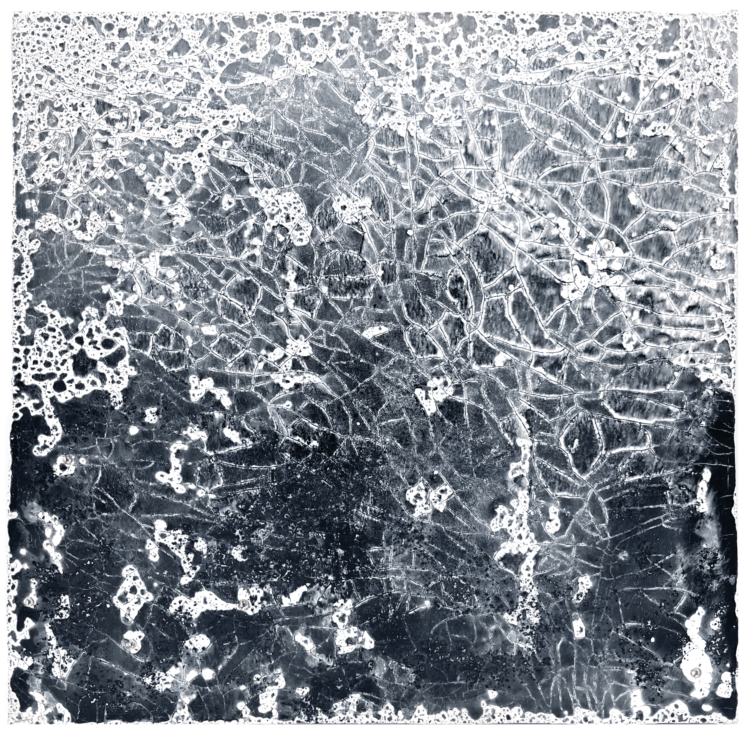 Художник Алина Репкина