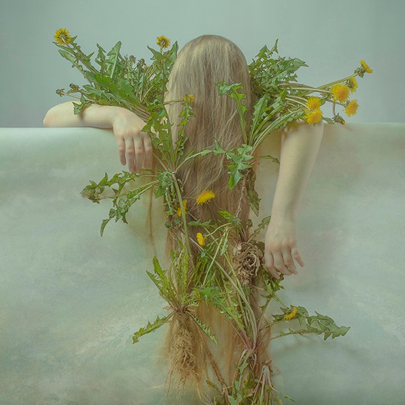 Работы приобрести. Фотохудожник АРТ-фотограф Ира Будниченко Москва