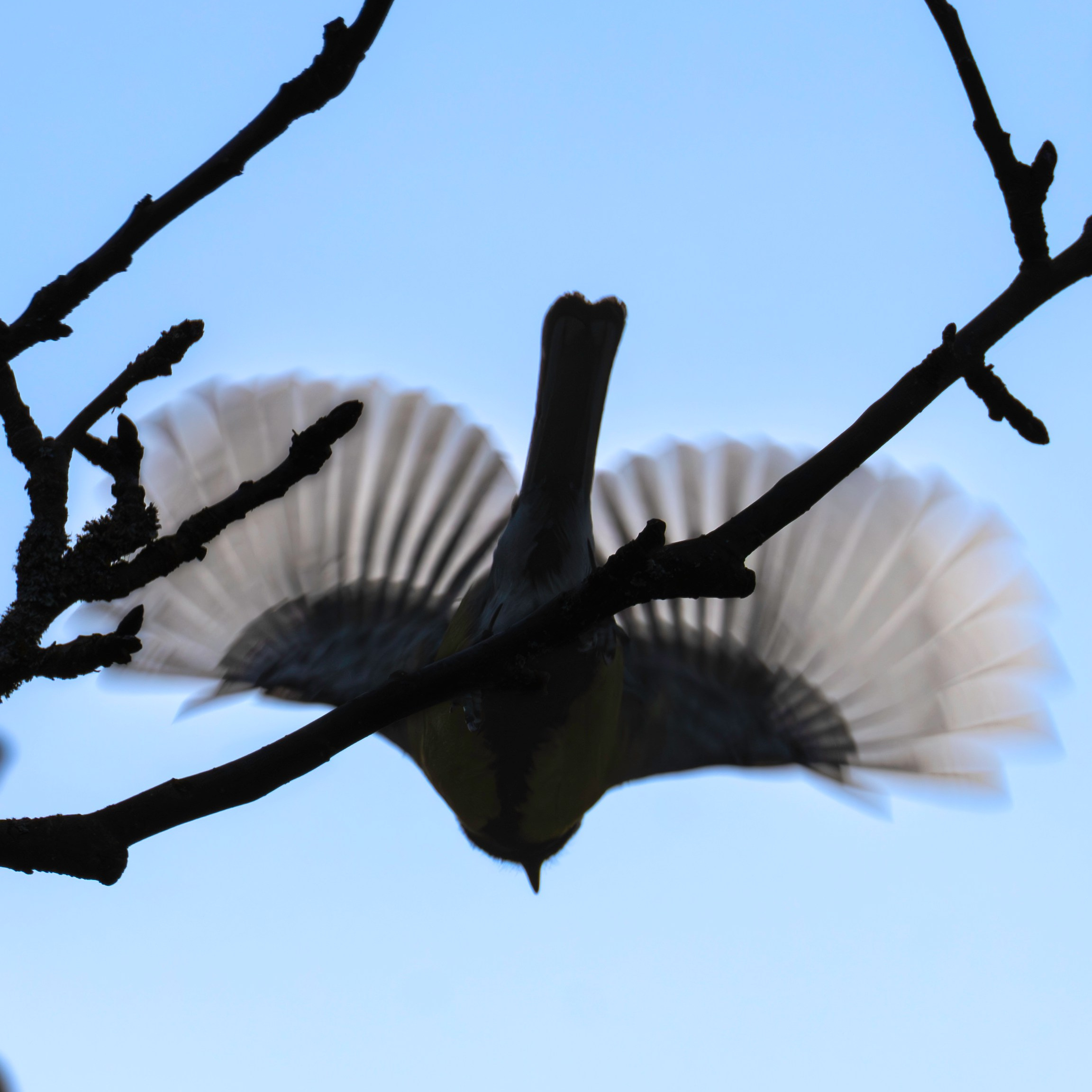 Контакты. FM Media Сrew. Репортажные фото и видео