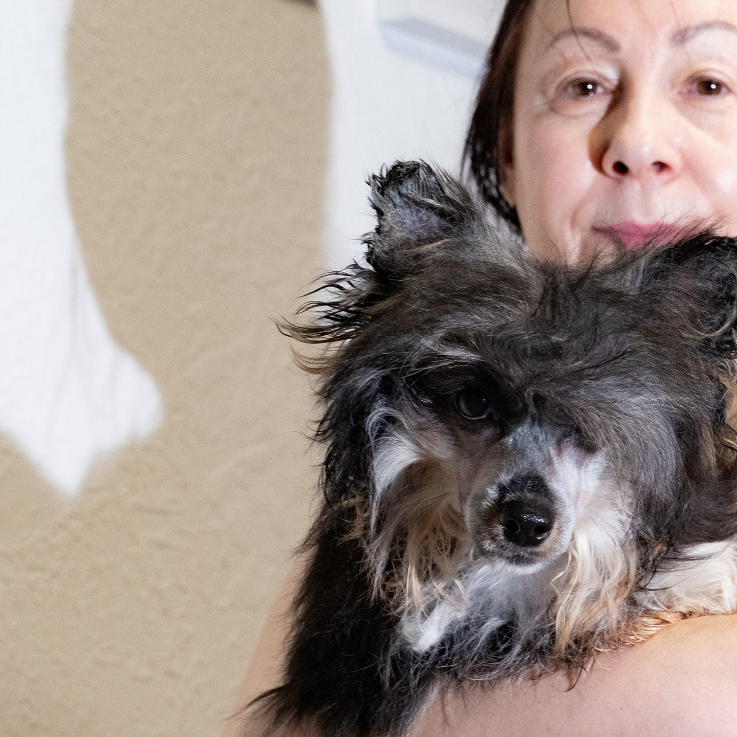 Grace goes shopping for clothes. Chinese Crested Dog Kennel Poale Ell