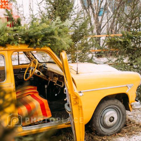 Фотостудии г. Иркутск. Виктория Ларина — Портретный профессиональный фотограф в Иркутске