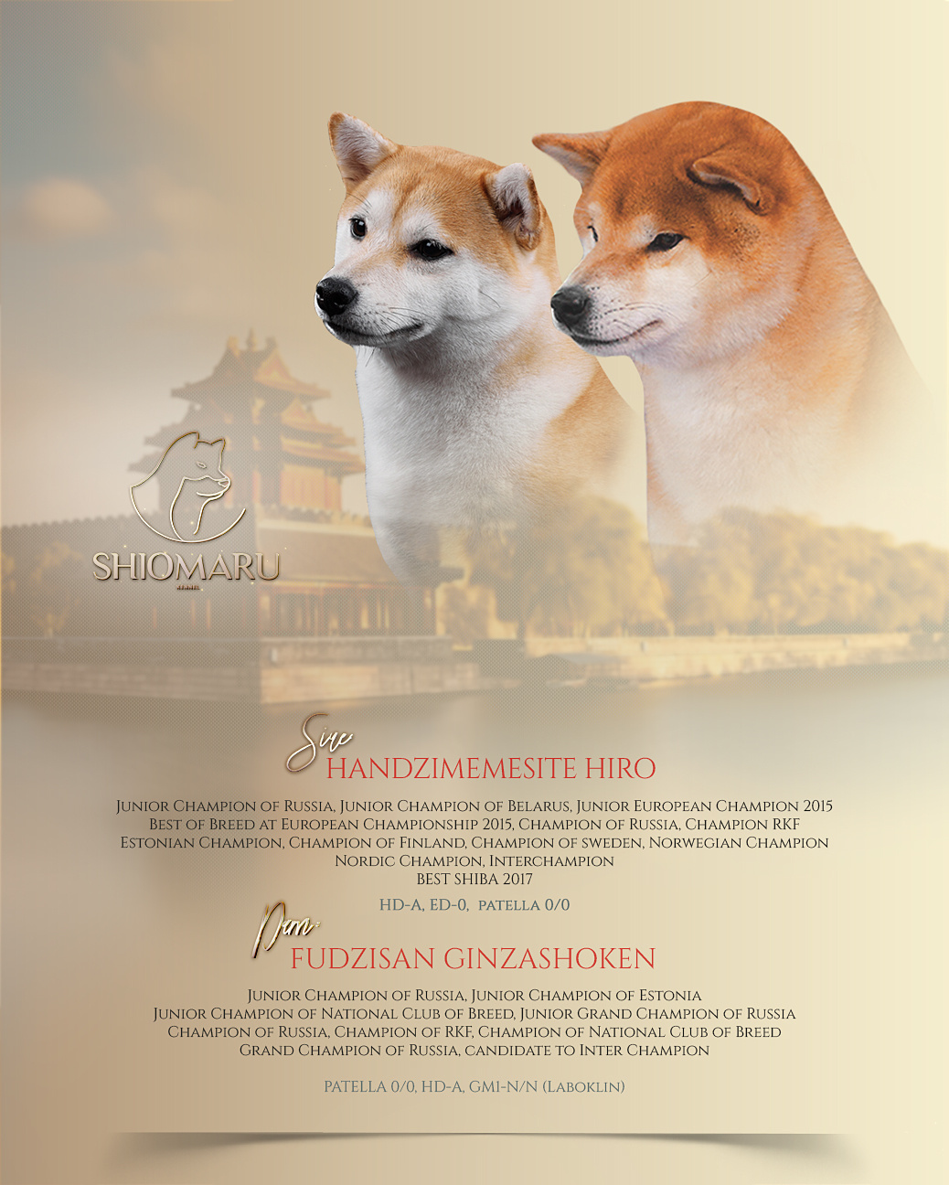 ПОМЕТЫ. SHIOMARU Питомник сиба и акита-ину