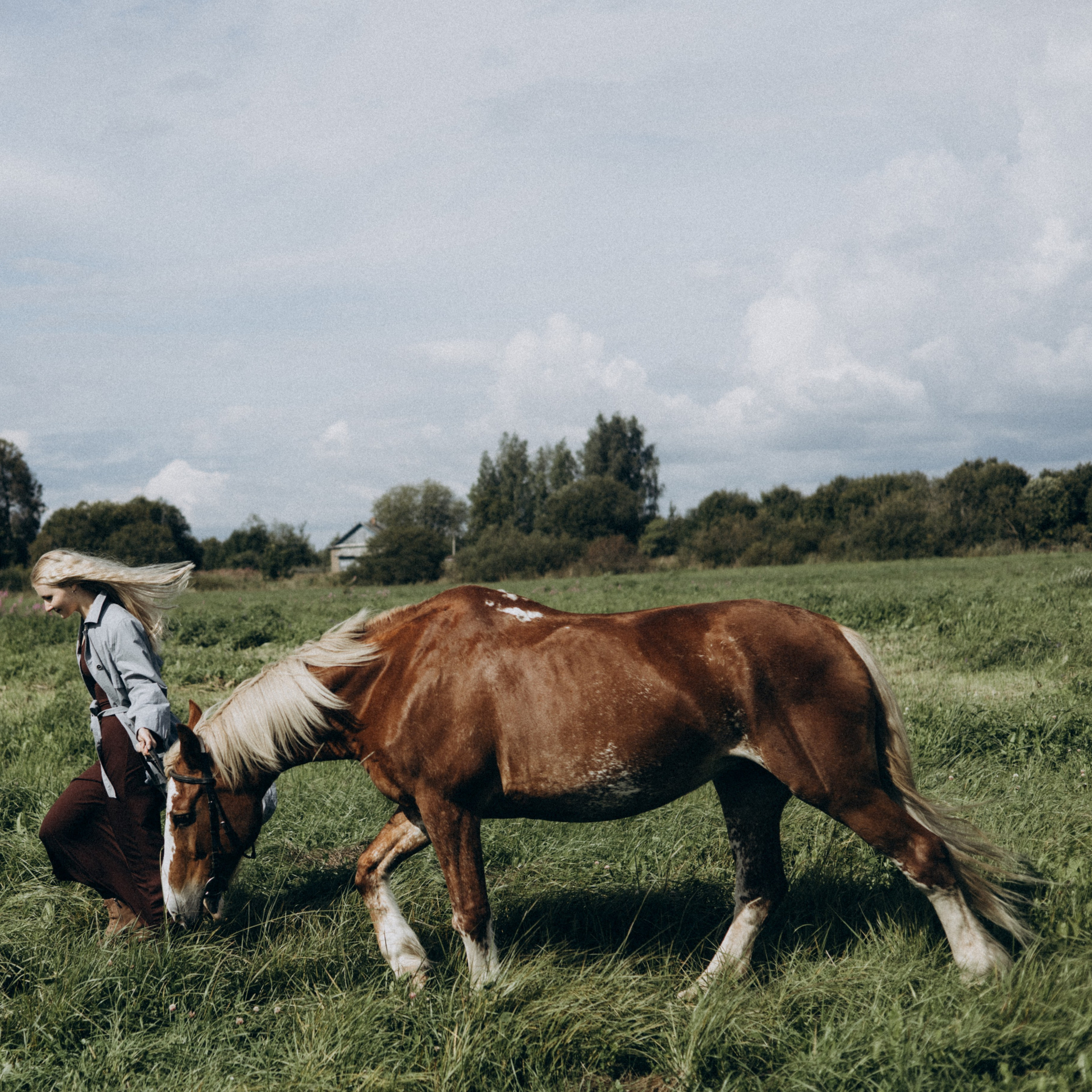 Контакты. Главная