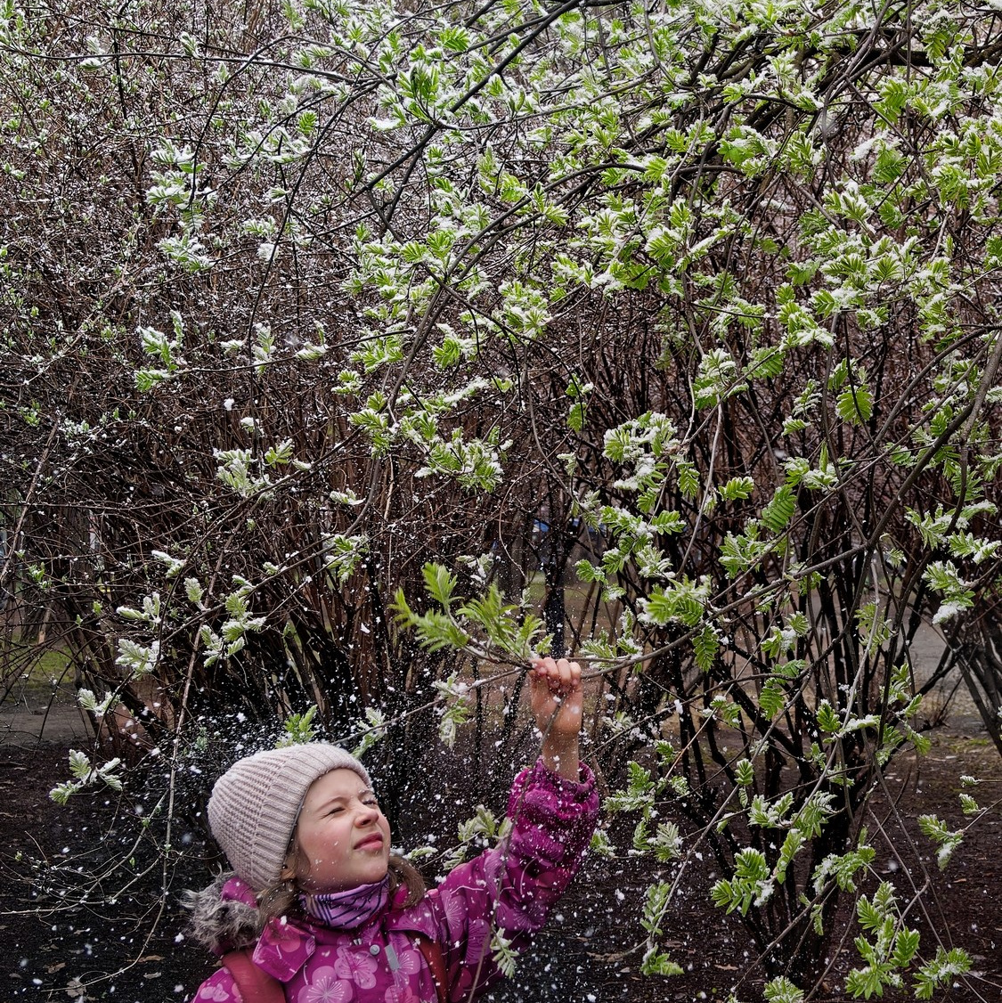 Цены. Фотограф Александр Петросян