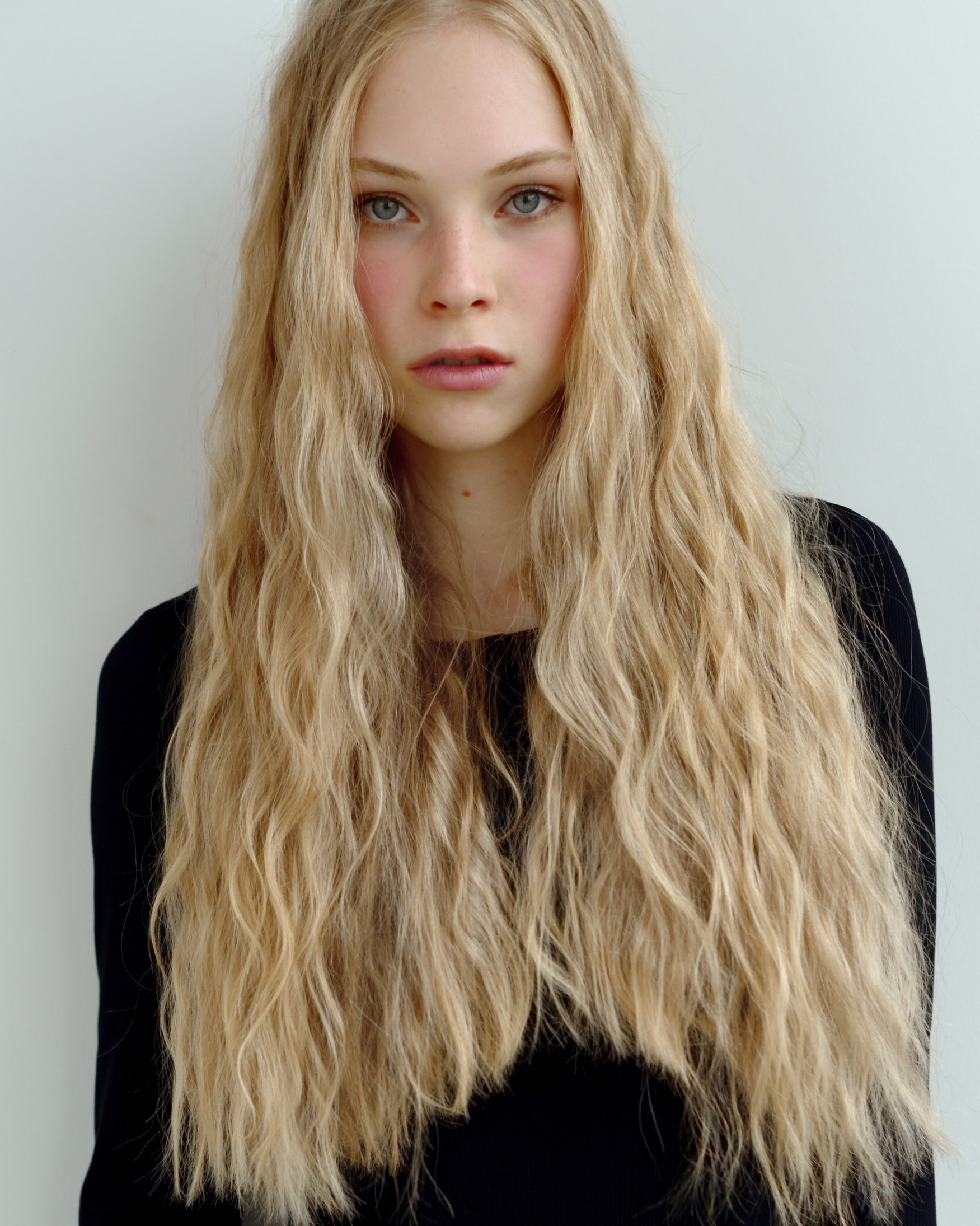 DEVELOPMENT. MONSTERA MODELS