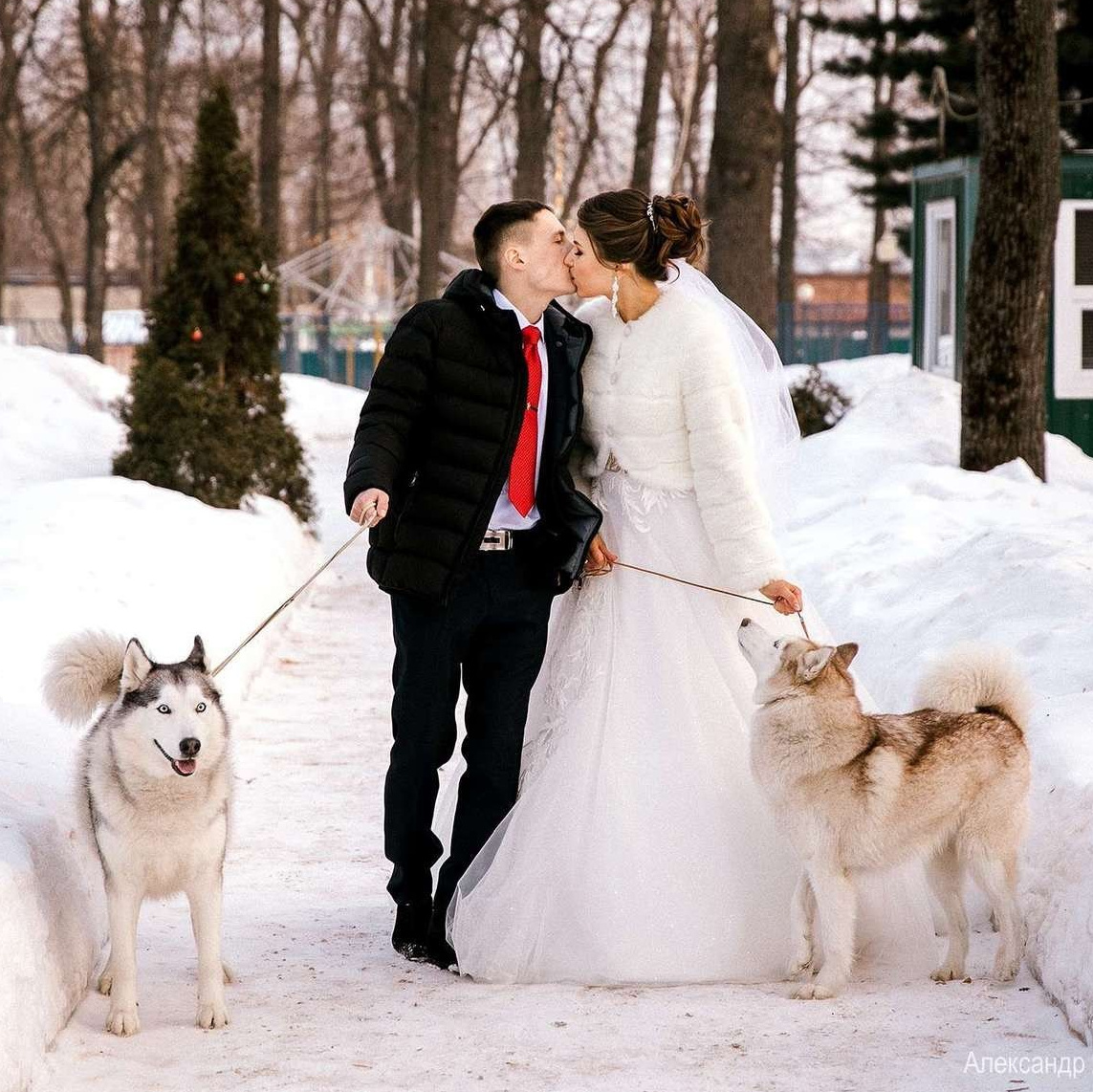 ЗИМНЯЯ СВАДЬБА