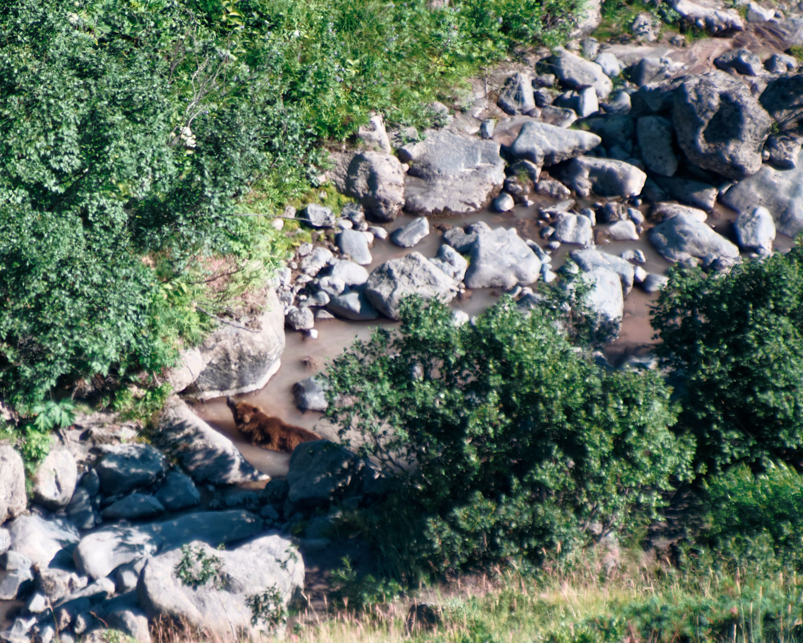 Камчатка. Фототрип. Тур?. Семоха Валерий. Фотограф