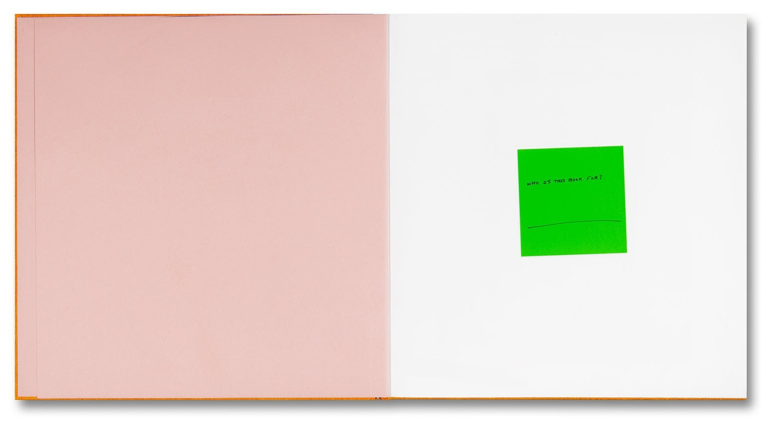 ОБЗОР АКТУАЛЬНЫХ ФОТОКНИГ: СОВЕТ МОЛОДЫМ ХУДОЖНИКАМ. Самоорганизация Низина