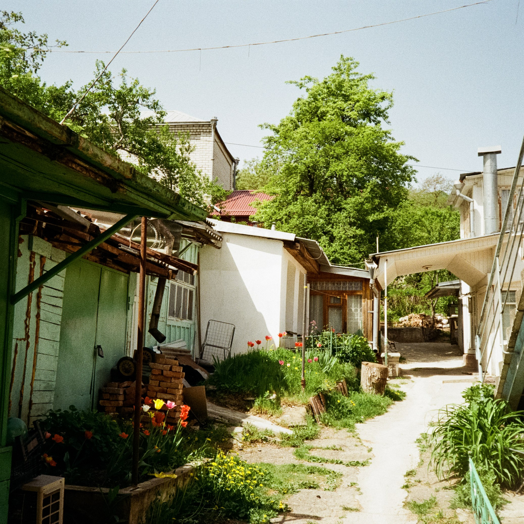 Путешествия | 2024. Фотограф-документалист Мария Осокина