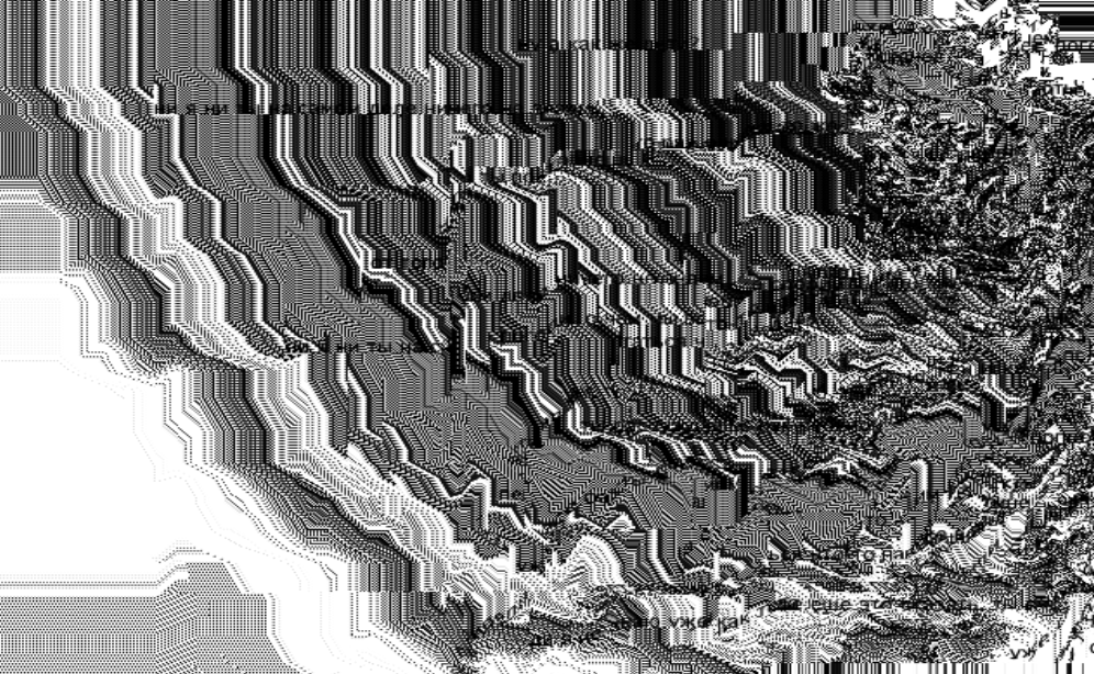 Meta argument. Naya Nova artist portfolio