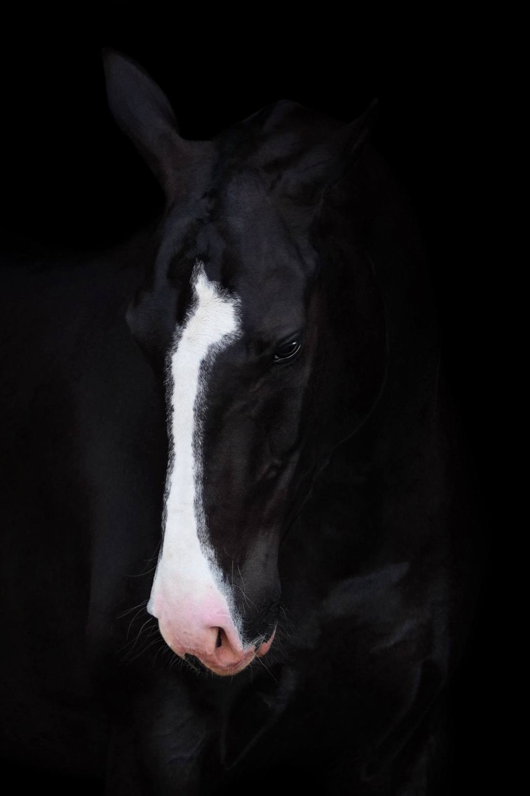 Wixmort | photographer Polina Soldatova