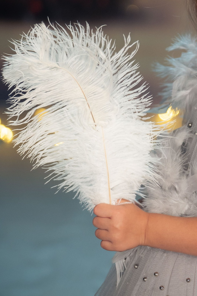 Хроники Нарнии. Нерасказанные истории. Антон и Татьяна Денисенко