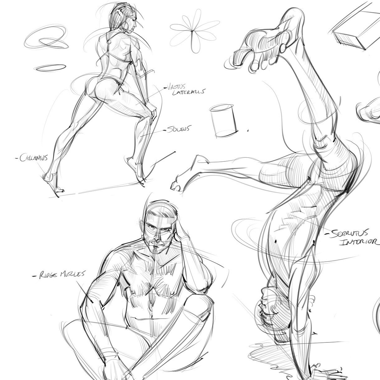 Мастер-классы в Москве для взрослых и детей в студии ПегасАрт. Арт-вечеринки и мастер-классы в Москве для взрослых и детей