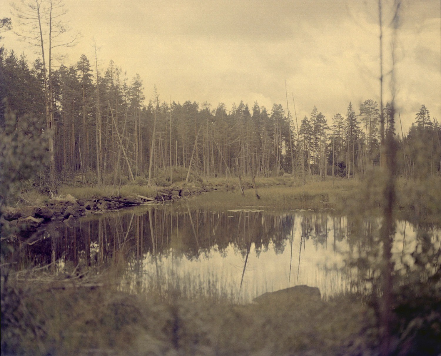 INTERVIEW WITH THE ARTIST: Maja Daniels. Самоорганизация Низина