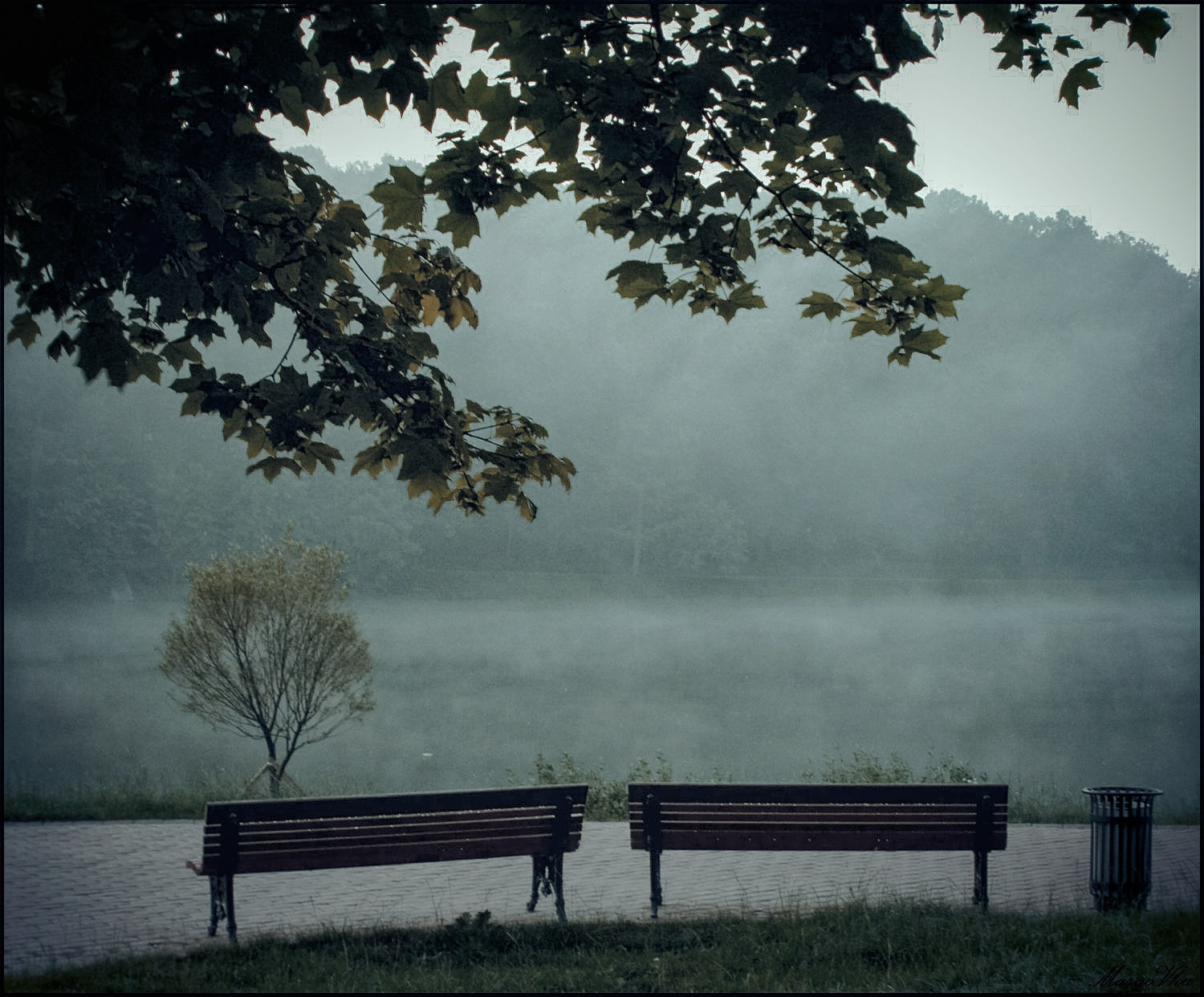 Контакты. Свадебный, семейный фотограф в Москве Маргарита Севьянц