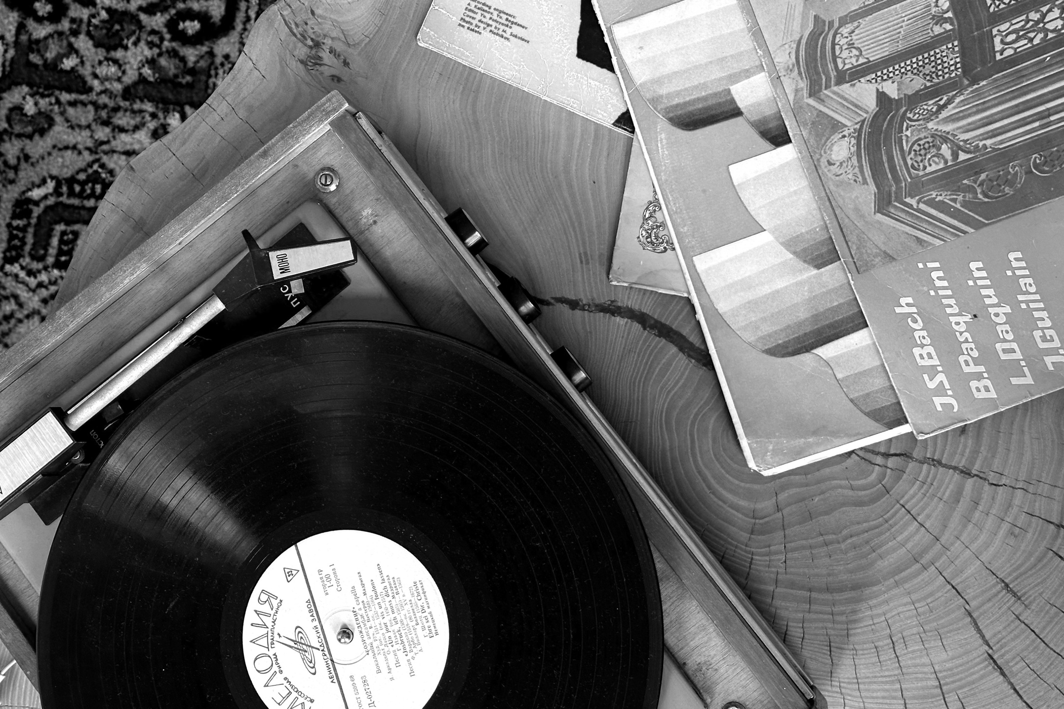 Креативные идеи для фотосессий: вдохновение от профессионального фотографа