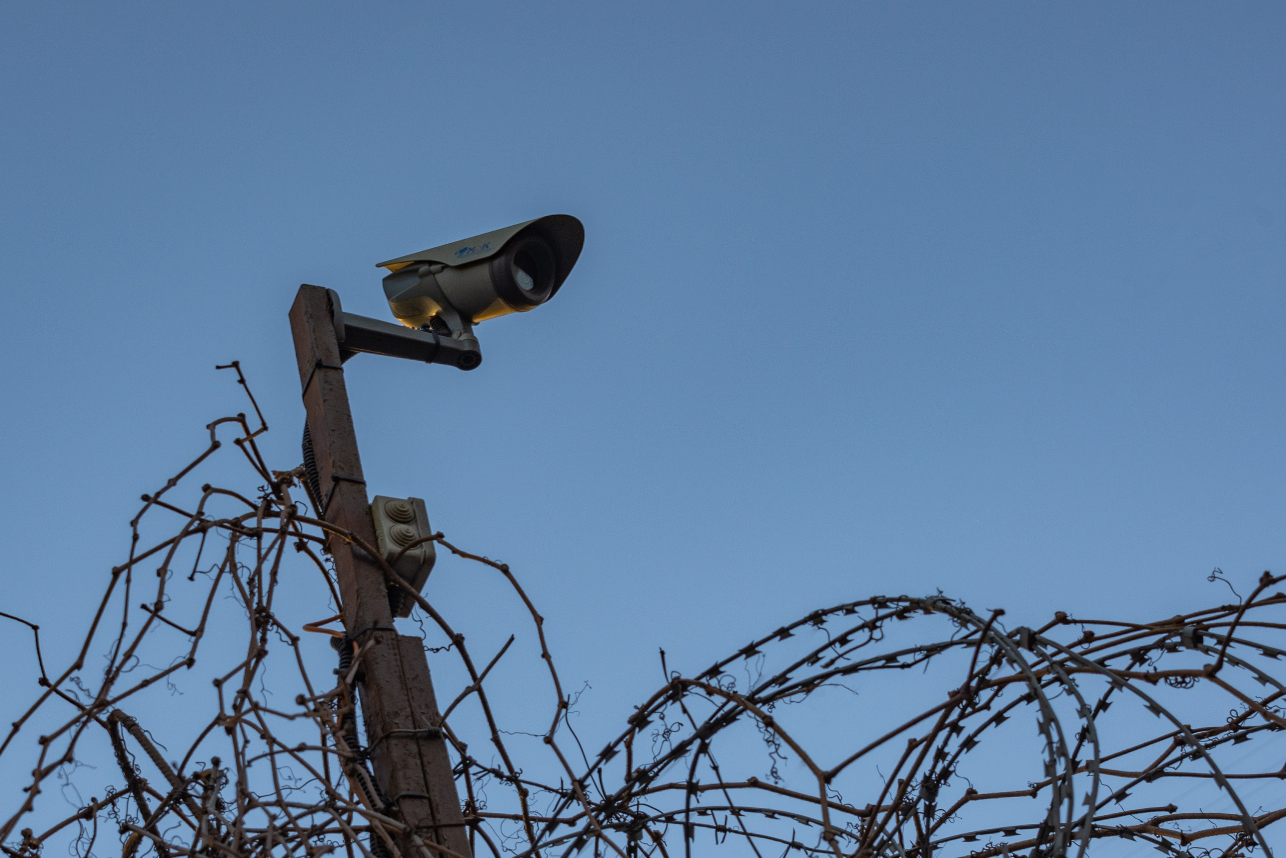 Прогулка по центру. Фотограф Даниил Богомолов, Санкт-Петербург