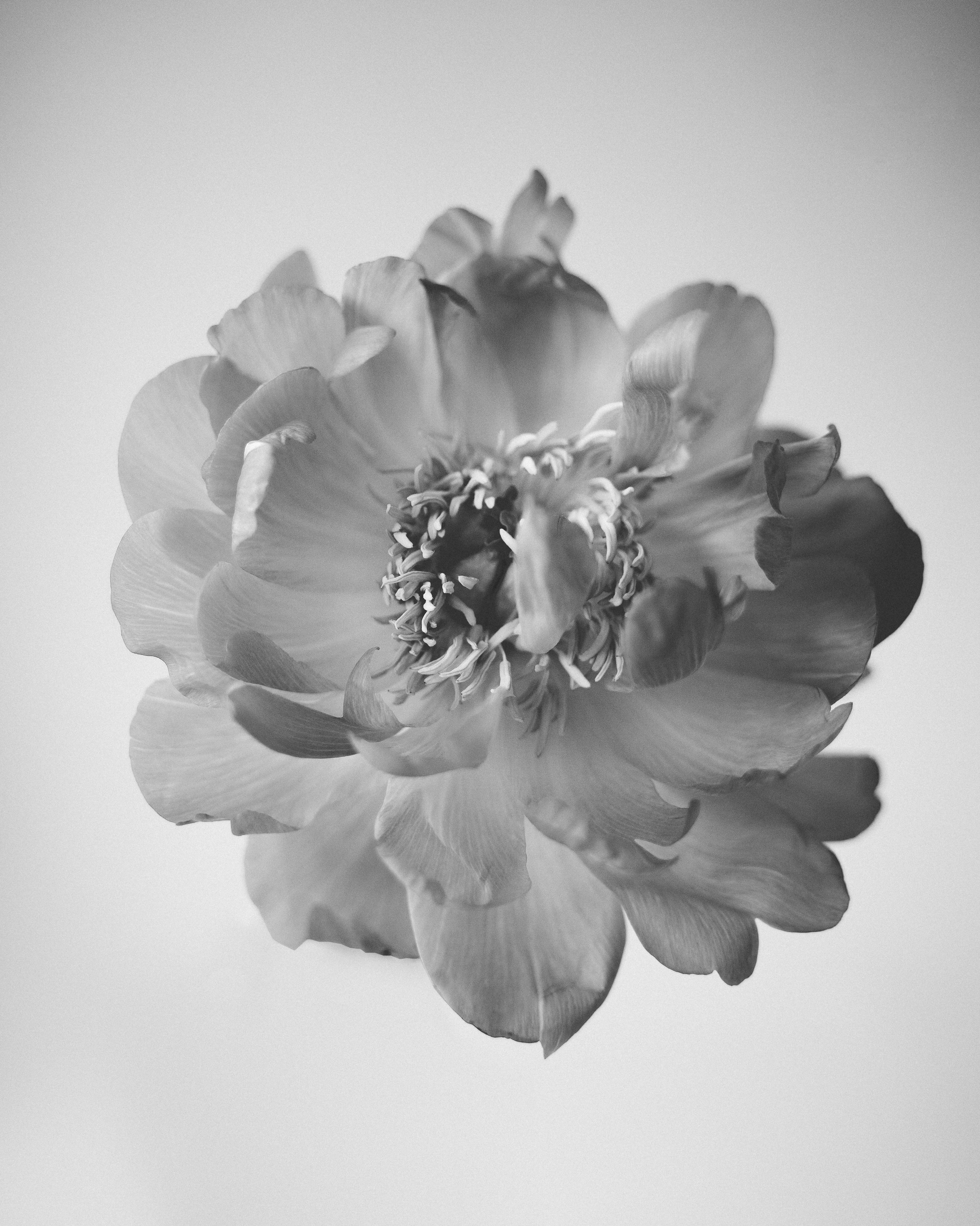 Personal portraits. Анастасия Максимова, фотограф, москва