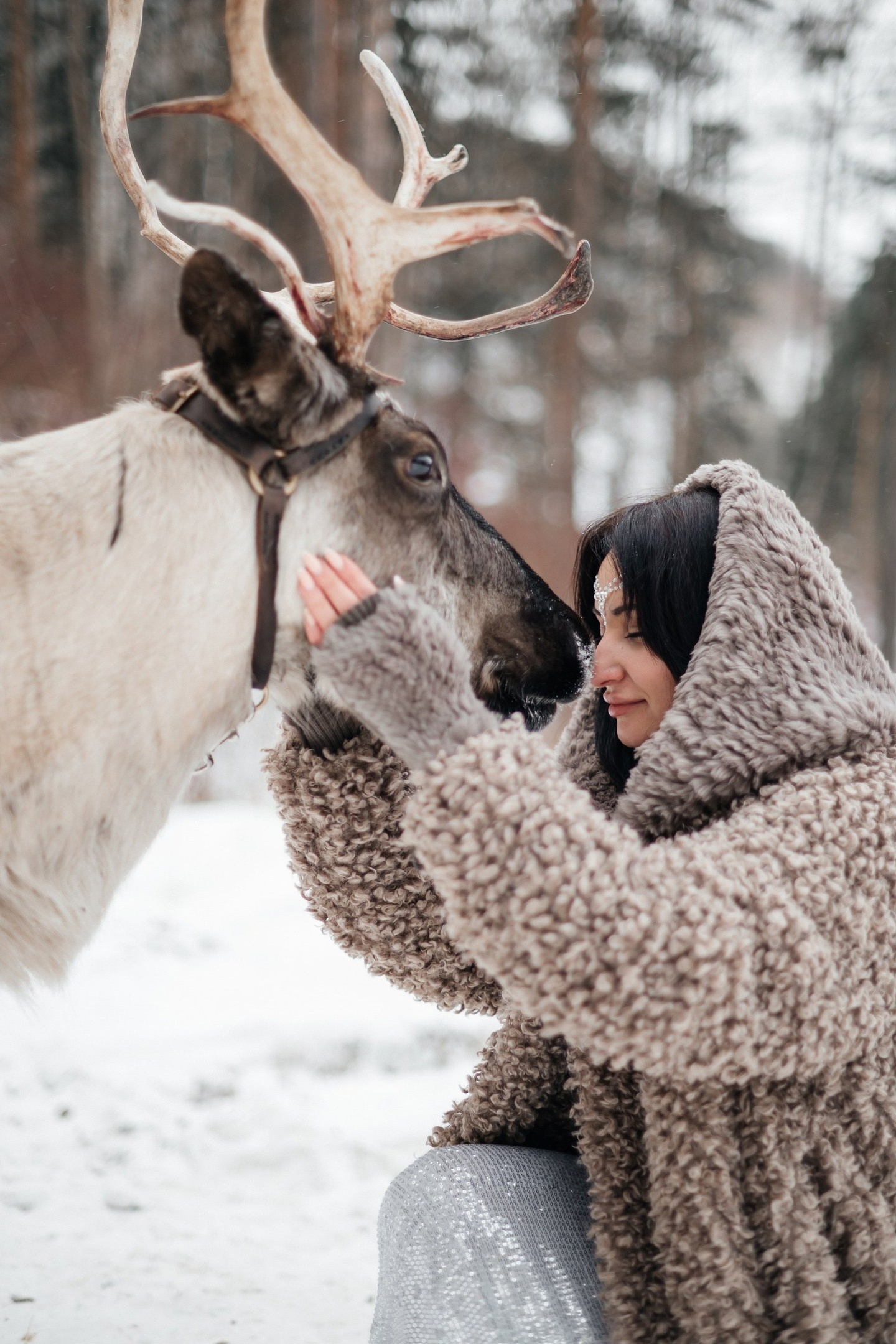 ФОТОСЕССИЯ С ЖИВОТНЫМИ. Свадебный фотограф