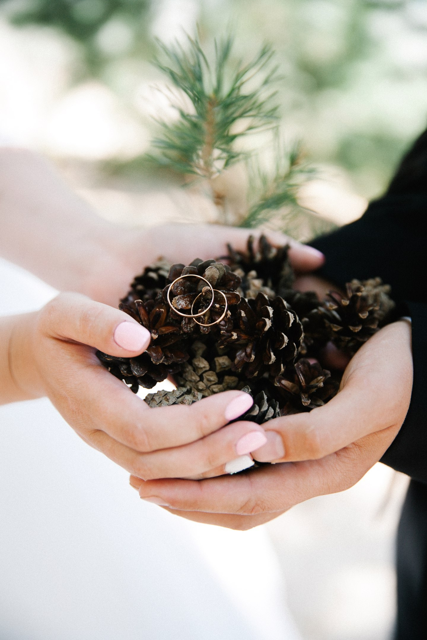 Семейный фотограф Москва и Москвовская область
