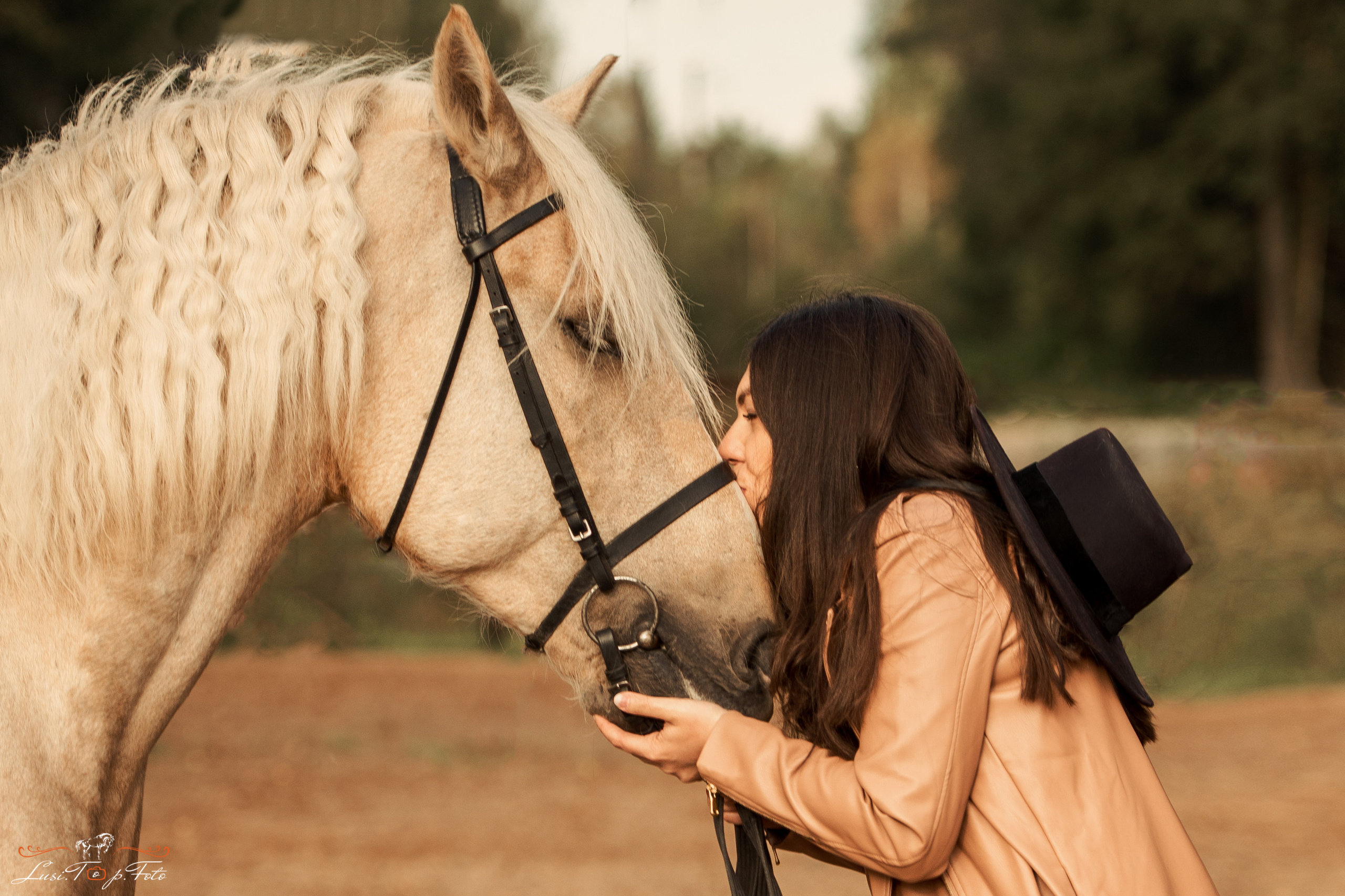 Услуги и цены. Конный и фотограф с животными в Твери Топталова Люся