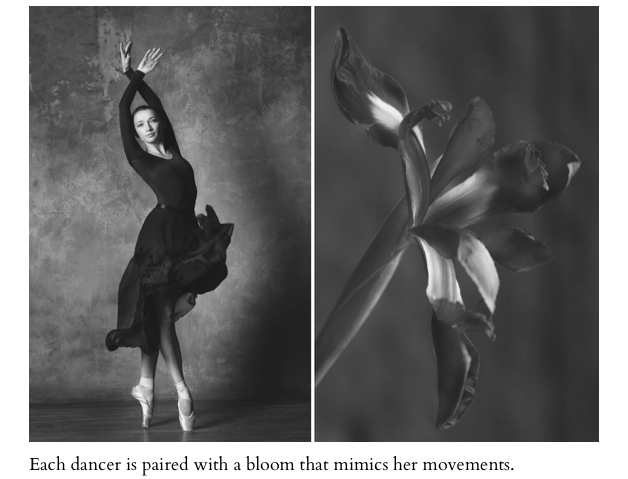 Press — My Modernmet