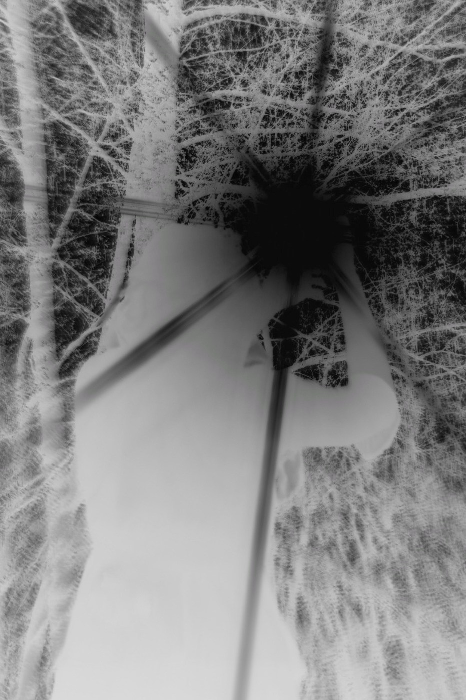 Творческое портфолио