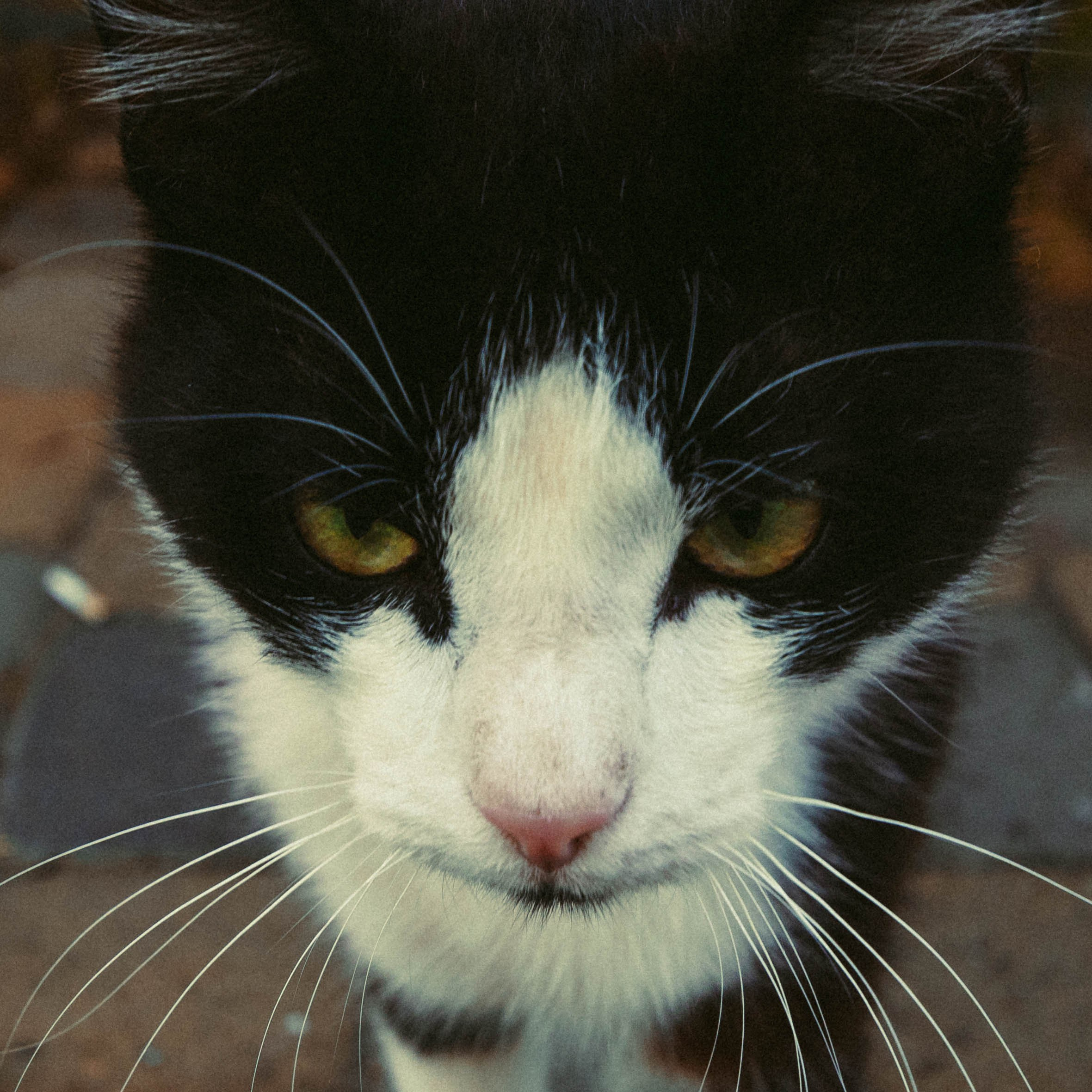 Ты всё о Мане, да о Нимейере. А мир вокруг тебя — о разрухе и панельках. Репортажный и портретный фотограф в Тольятти