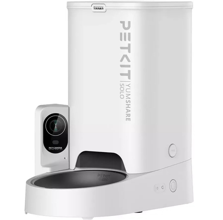 Котёнок американской бурмы. Las Burmas — питомник американской бурмы традиционных линий