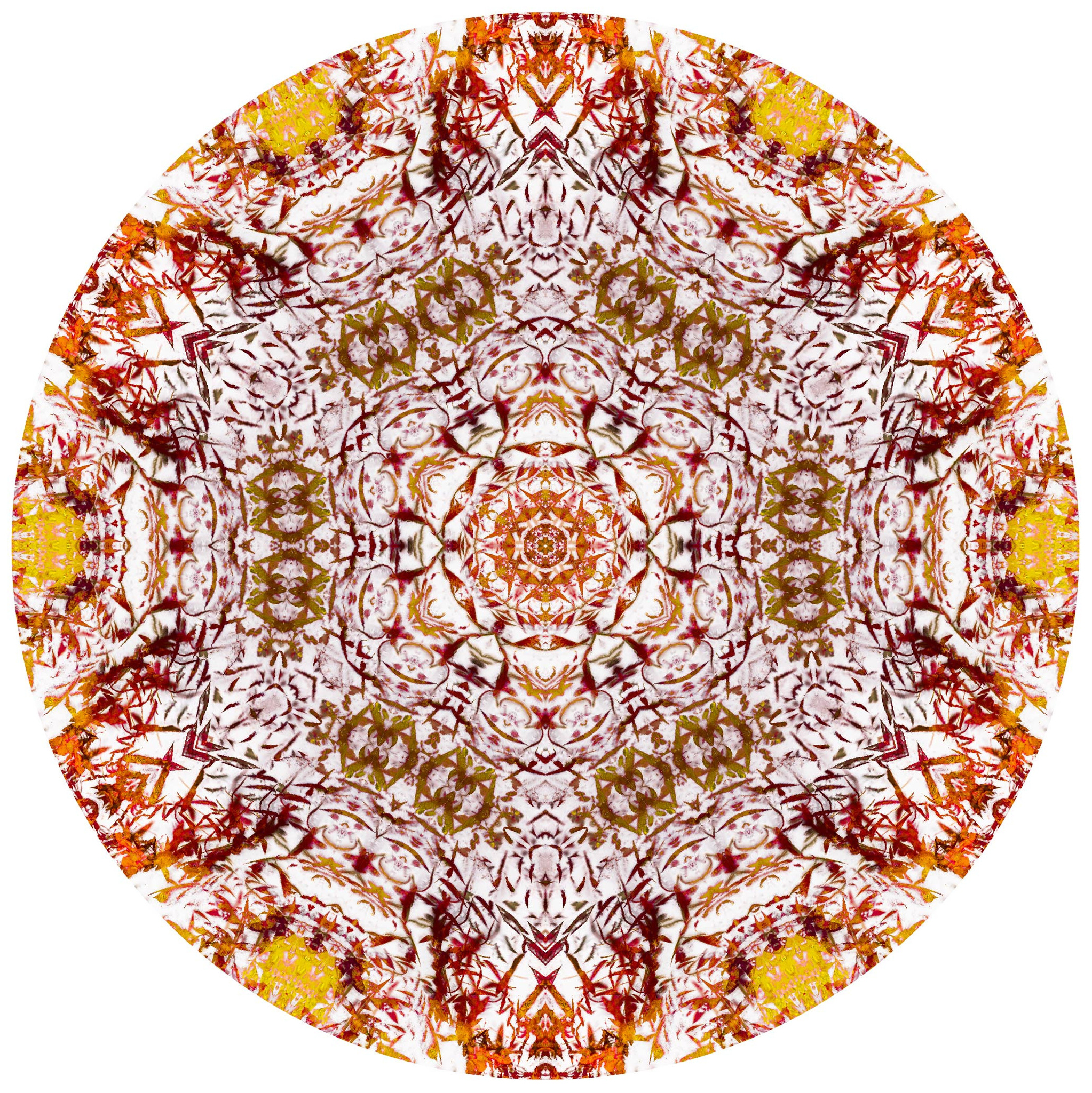 Мандала «Крылья жар-птицы» Жар-птицы крыло подхватило тебя, К удаче ведя, к вершинам зовя. Твори эту жизнь, наполняя теплом Каждый свой день, все, что видишь кругом! цикл Солнечные мандалы: цвет белый, желтый, оранжевый, красный, элементы зеленого. Автор: Ярра-искатель, художник - шаман