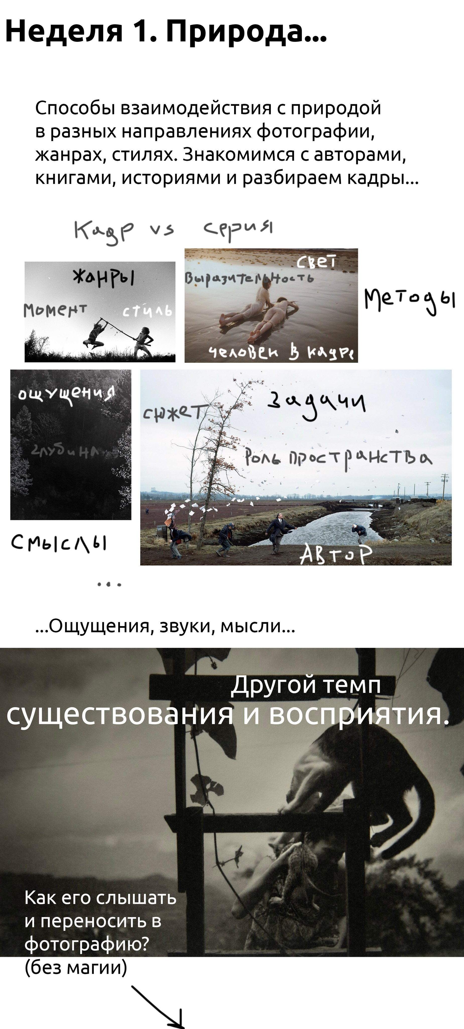 Лето!. …