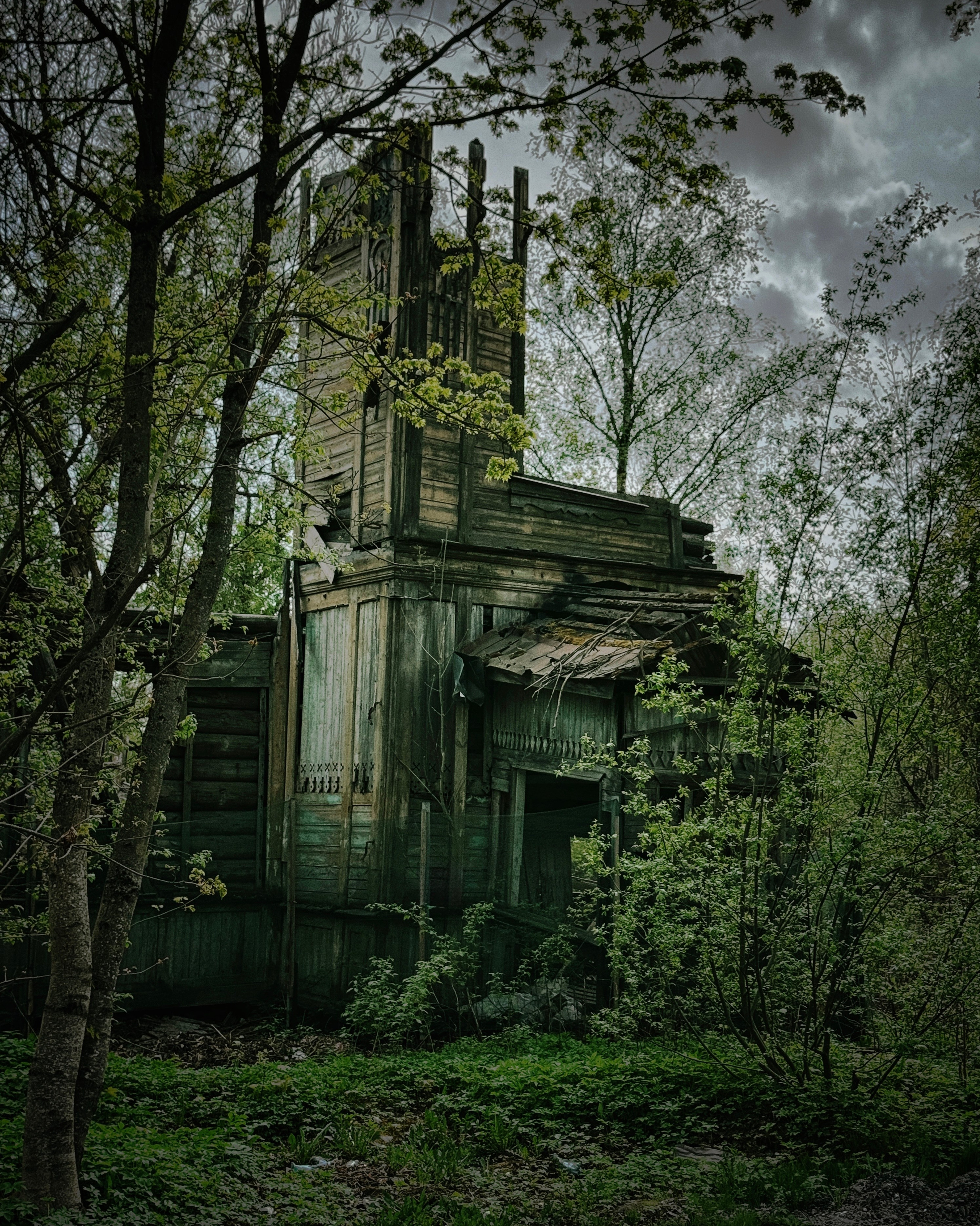 Фото-поездка в Красное село. Портретный фотограф Санкт-Петербург