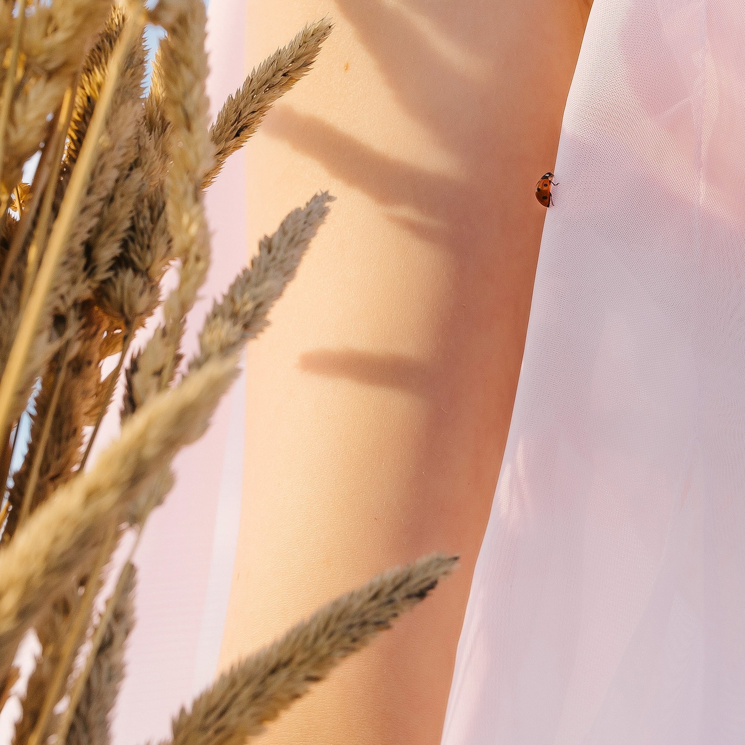 Обо мне. Фотограф в Санкт-Петербурге Юлия Ласкари