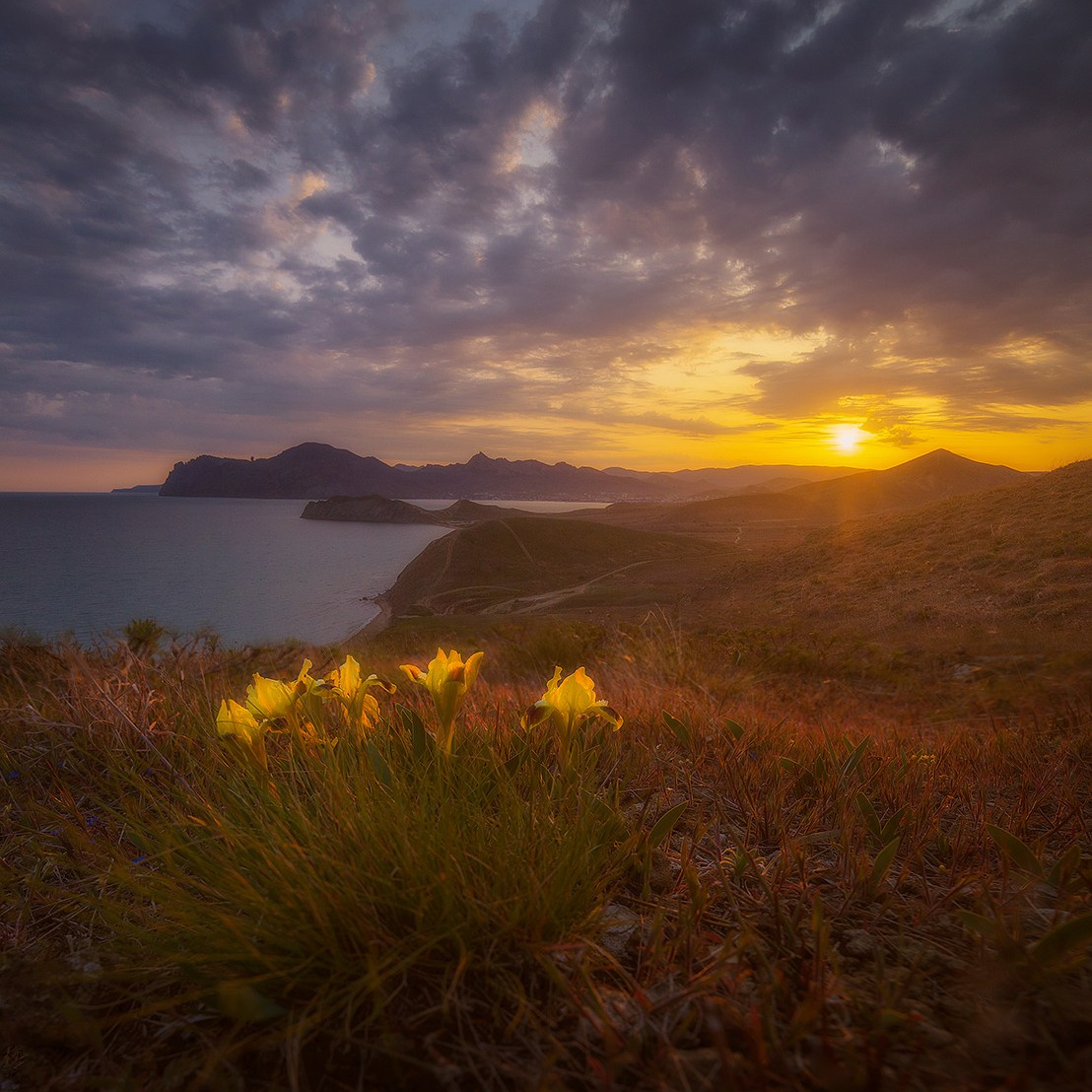 Весенний Крым. Пейзажный & Timelapse фотограф Роман Любимский