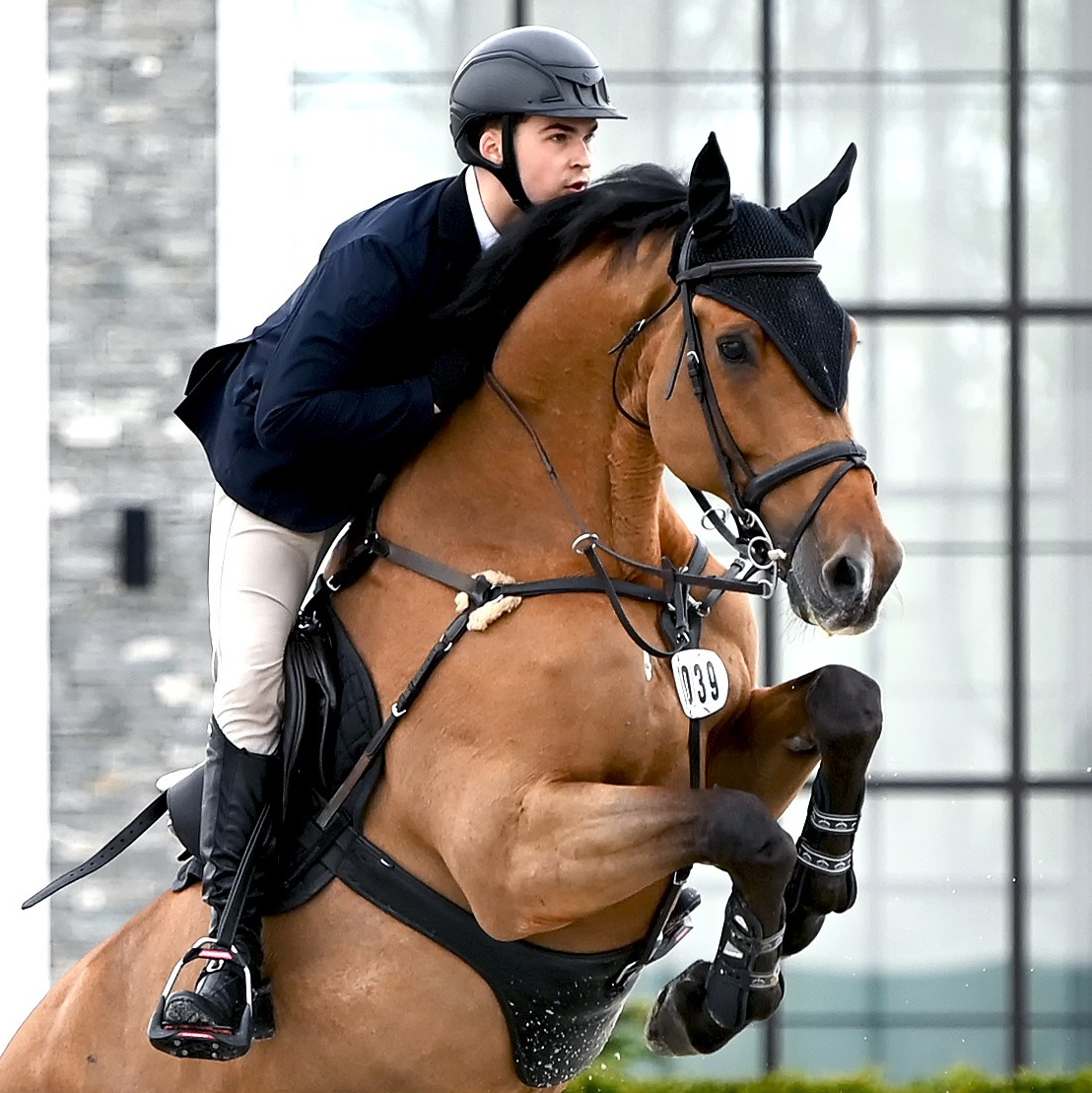 Портфолио. Конный портретный фотограф Наталья Шелест