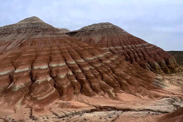 Пейзаж, напоминающий лунный, с извилистой рекой, окруженной густой зеленью и деревьями на фоне пустынных скалистых гор Лунного каньона. Солнечный день с ярко-голубым небом, украшенным небольшими облаками, подчеркивает природную красоту местности. Река Чарын образует небольшие островки, покрытые травой и кустарником.
